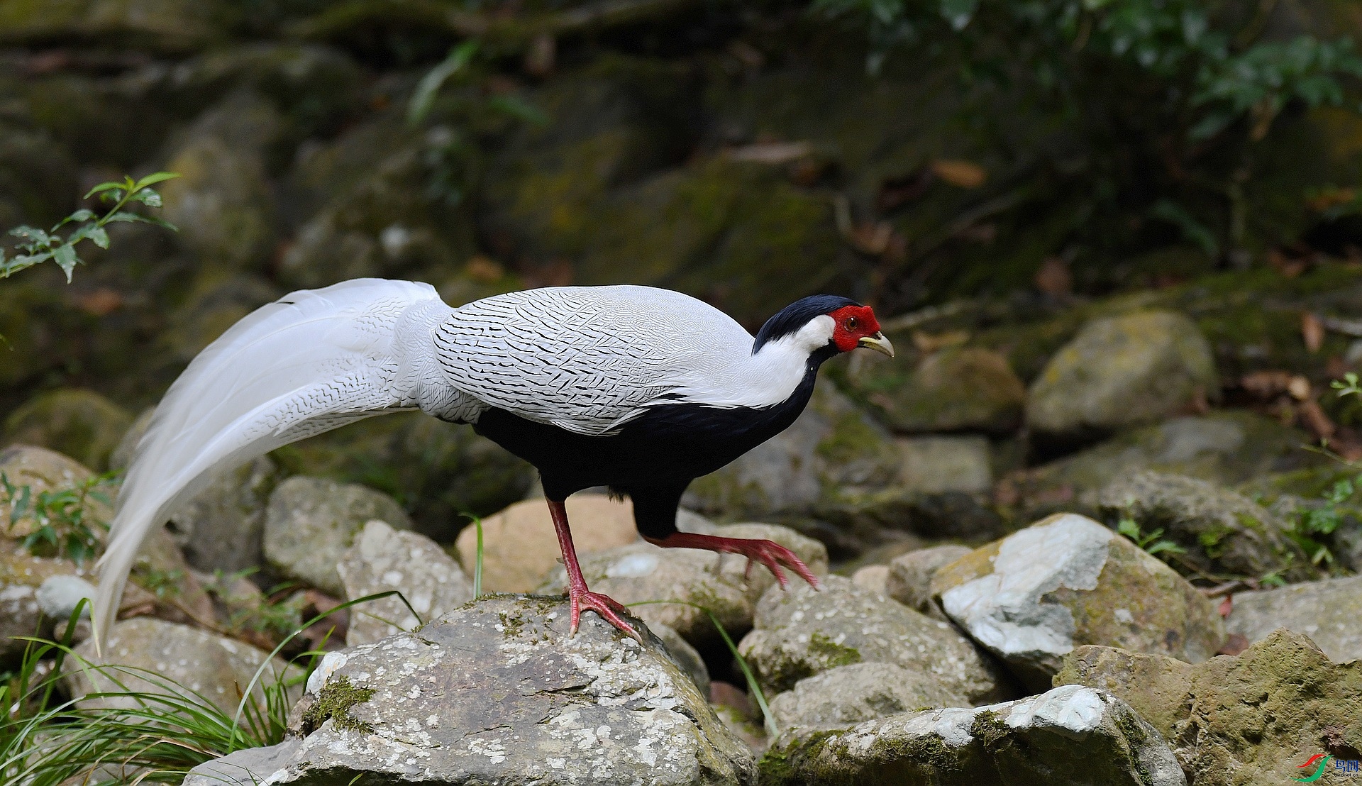 DSC_8848.jpg