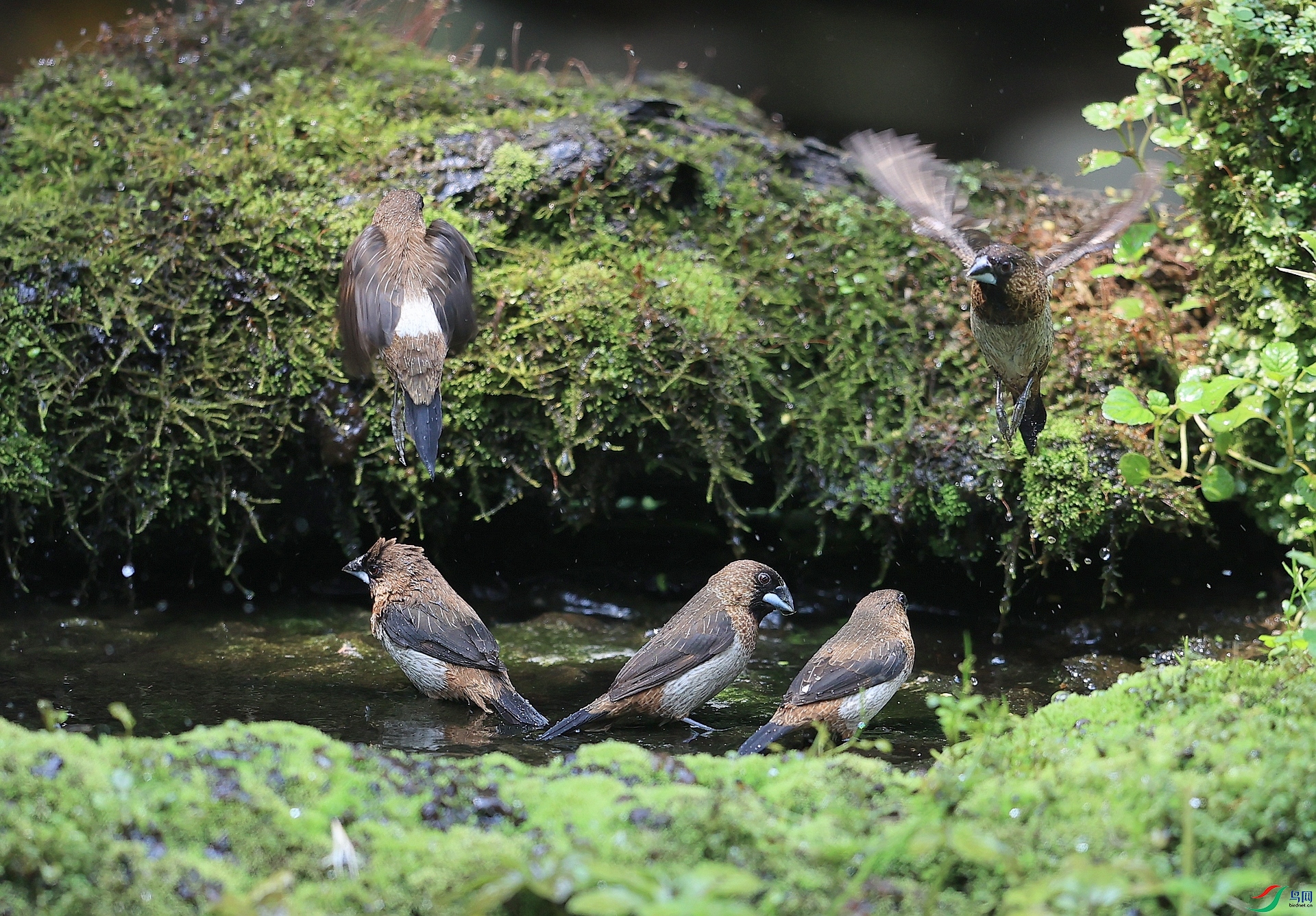 AK1I0027�� ��2.JPG