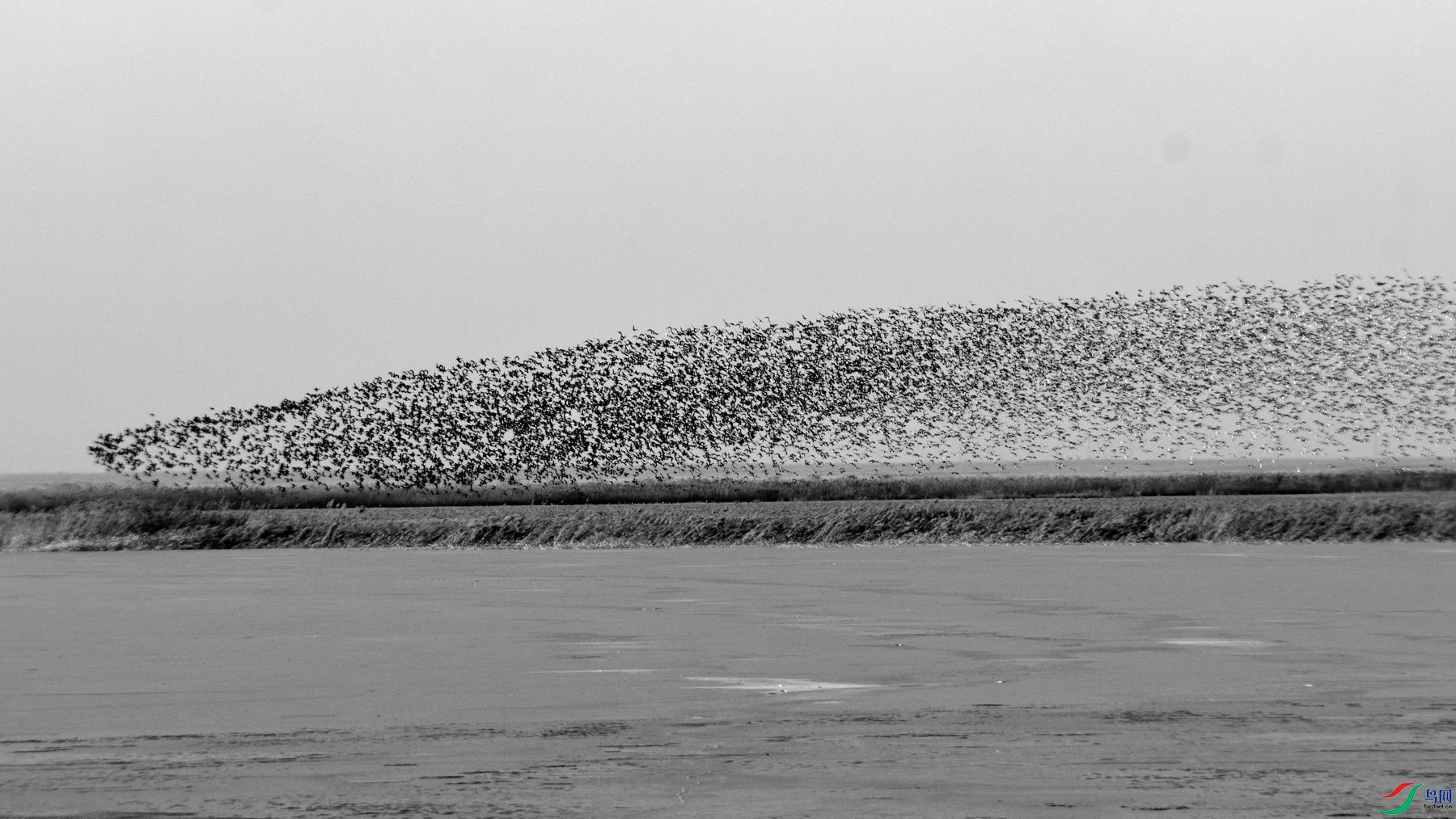 DSC_2837.JPG