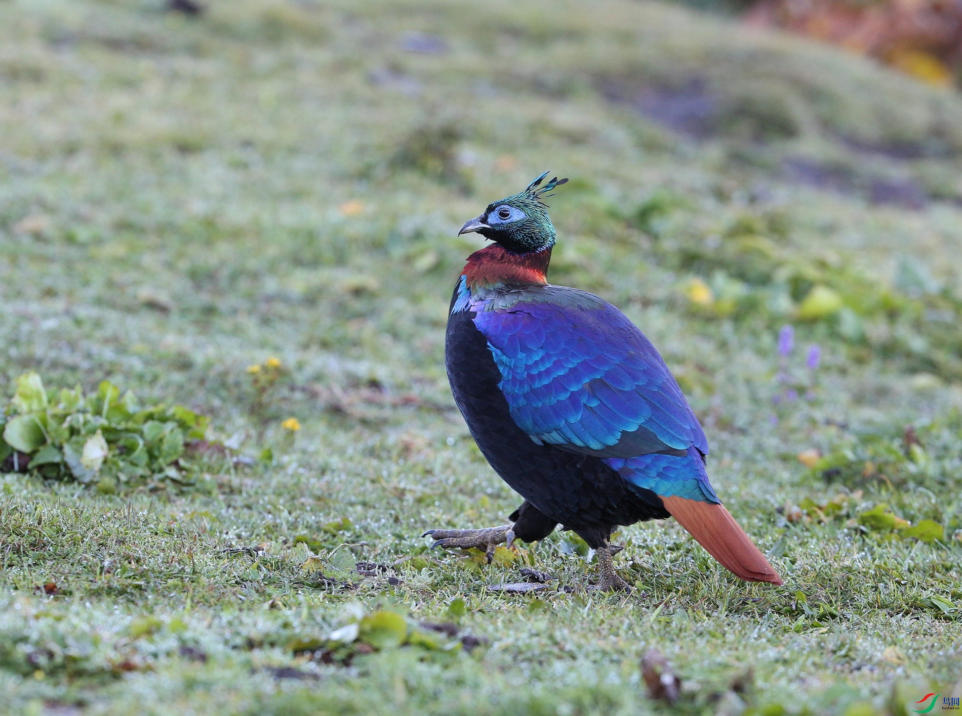 w161001���ؿ����� (186).jpg