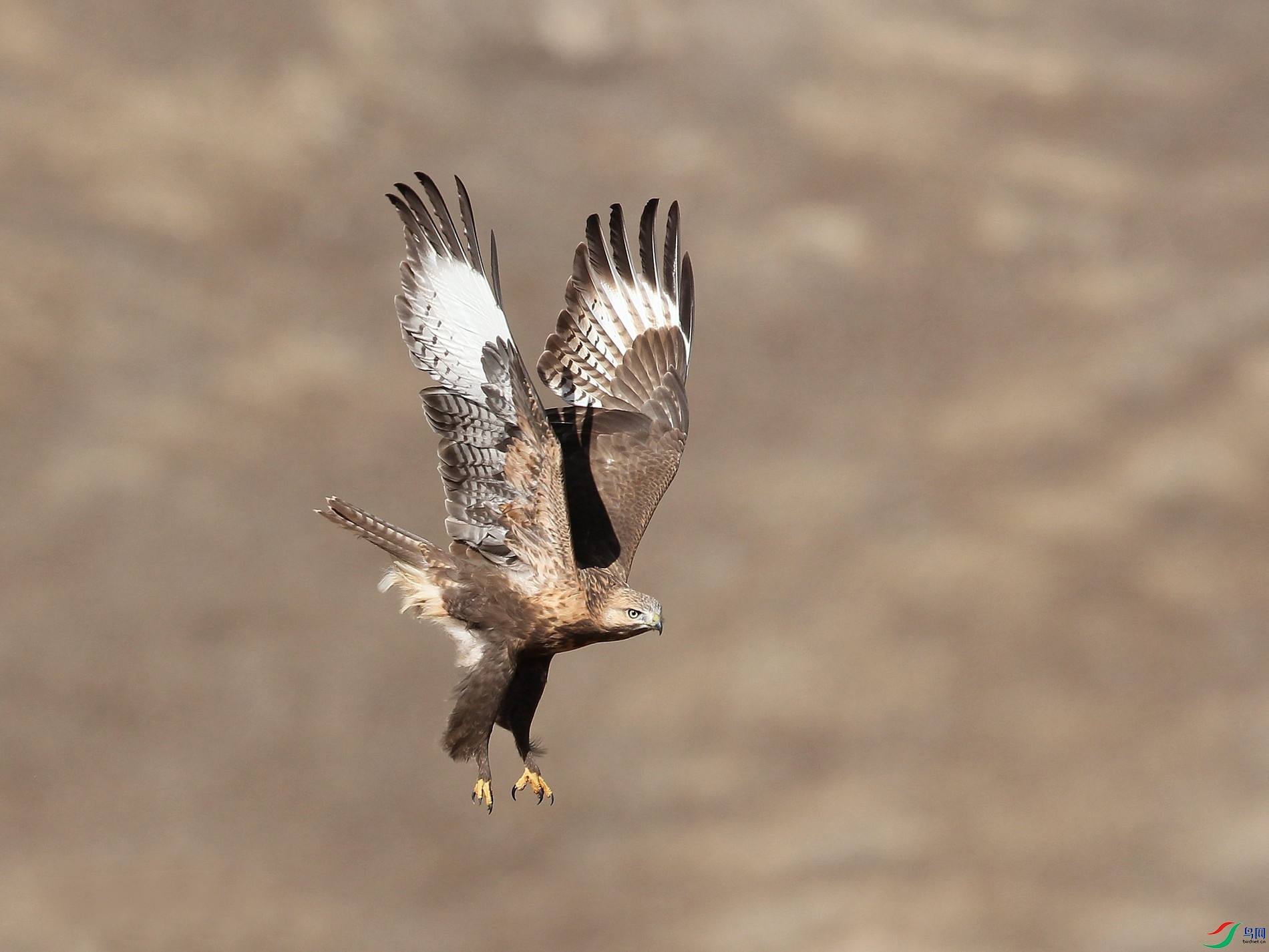 w161004���� ��