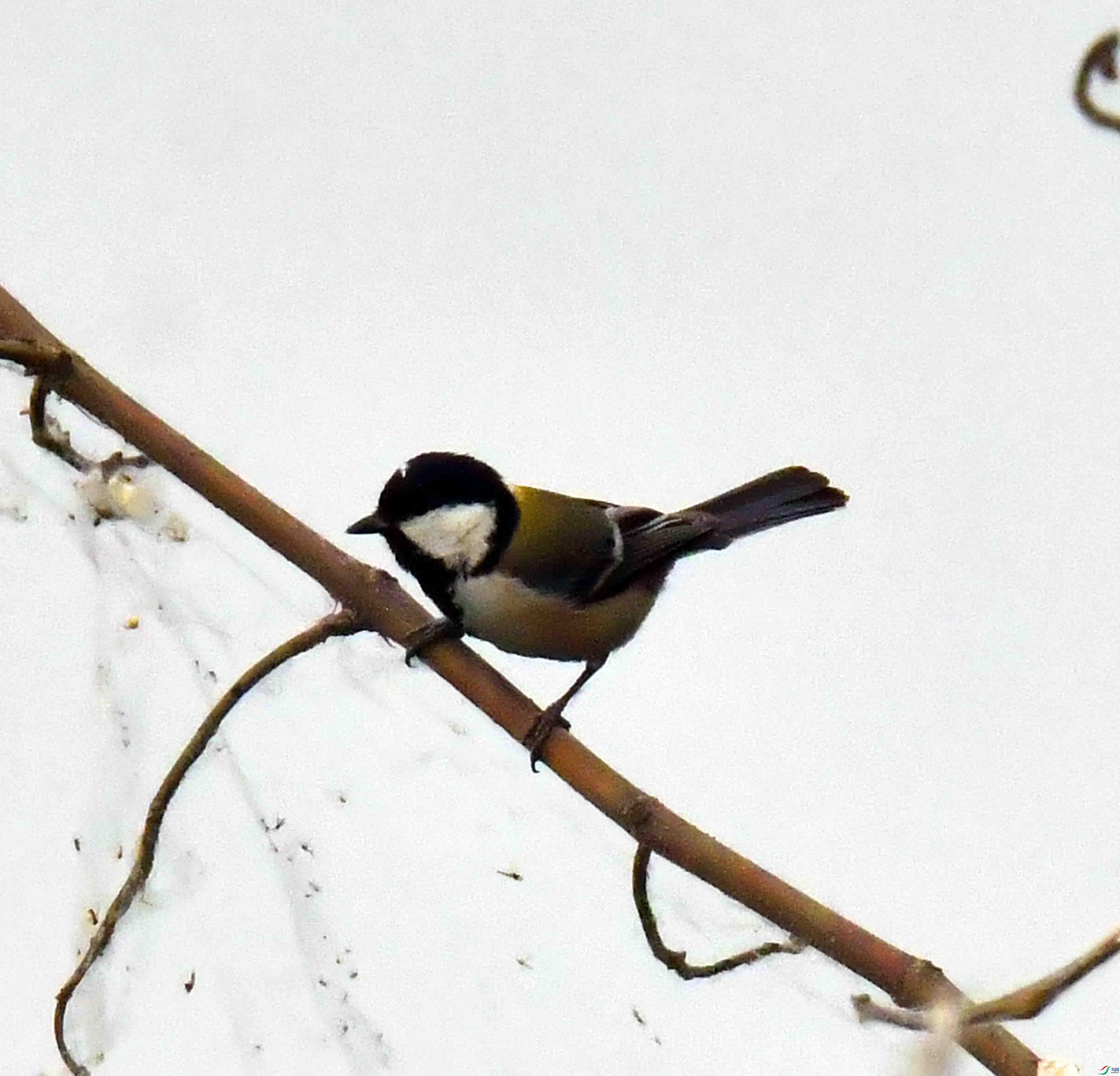 DSC_6282.JPG