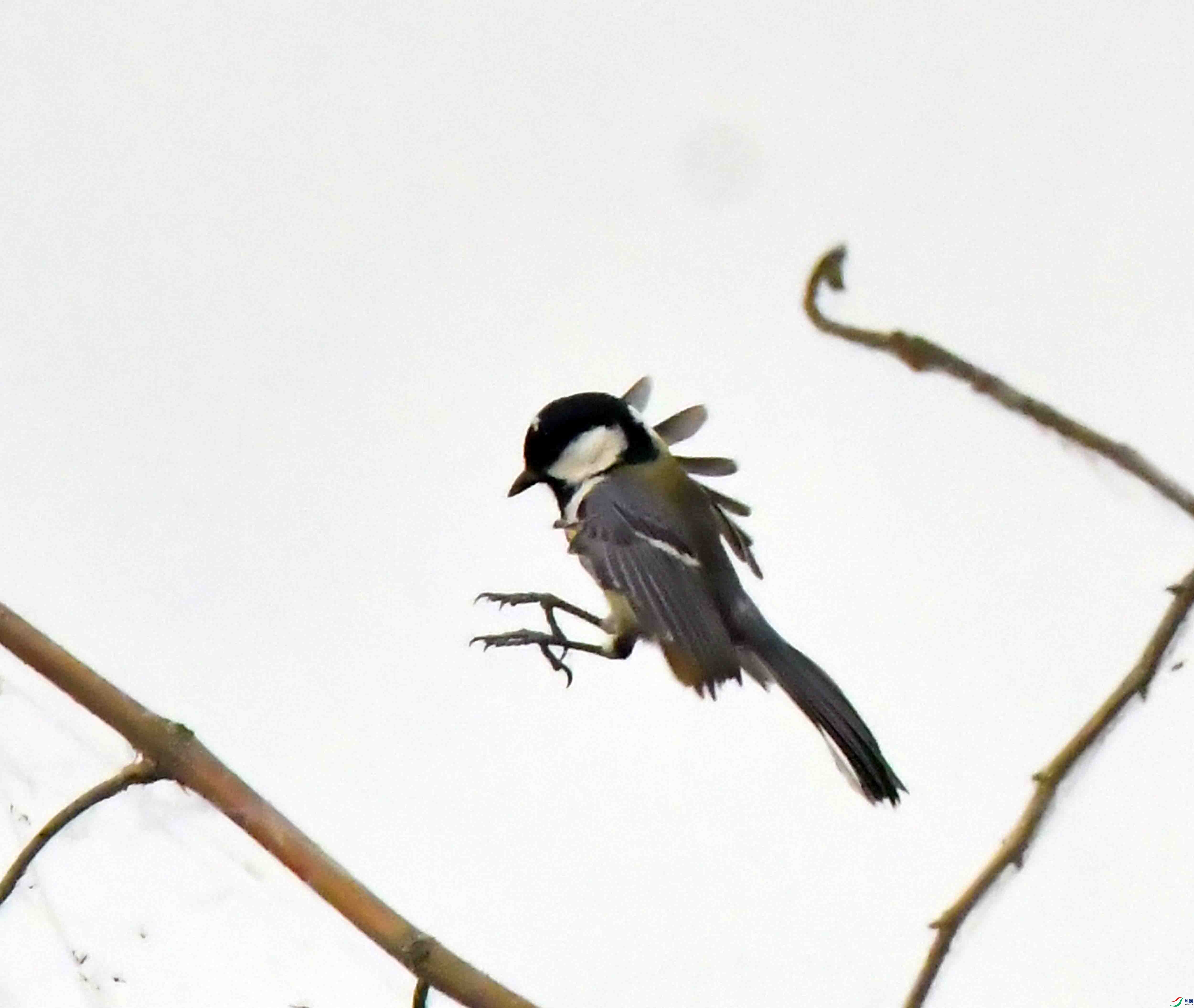DSC_6279.JPG