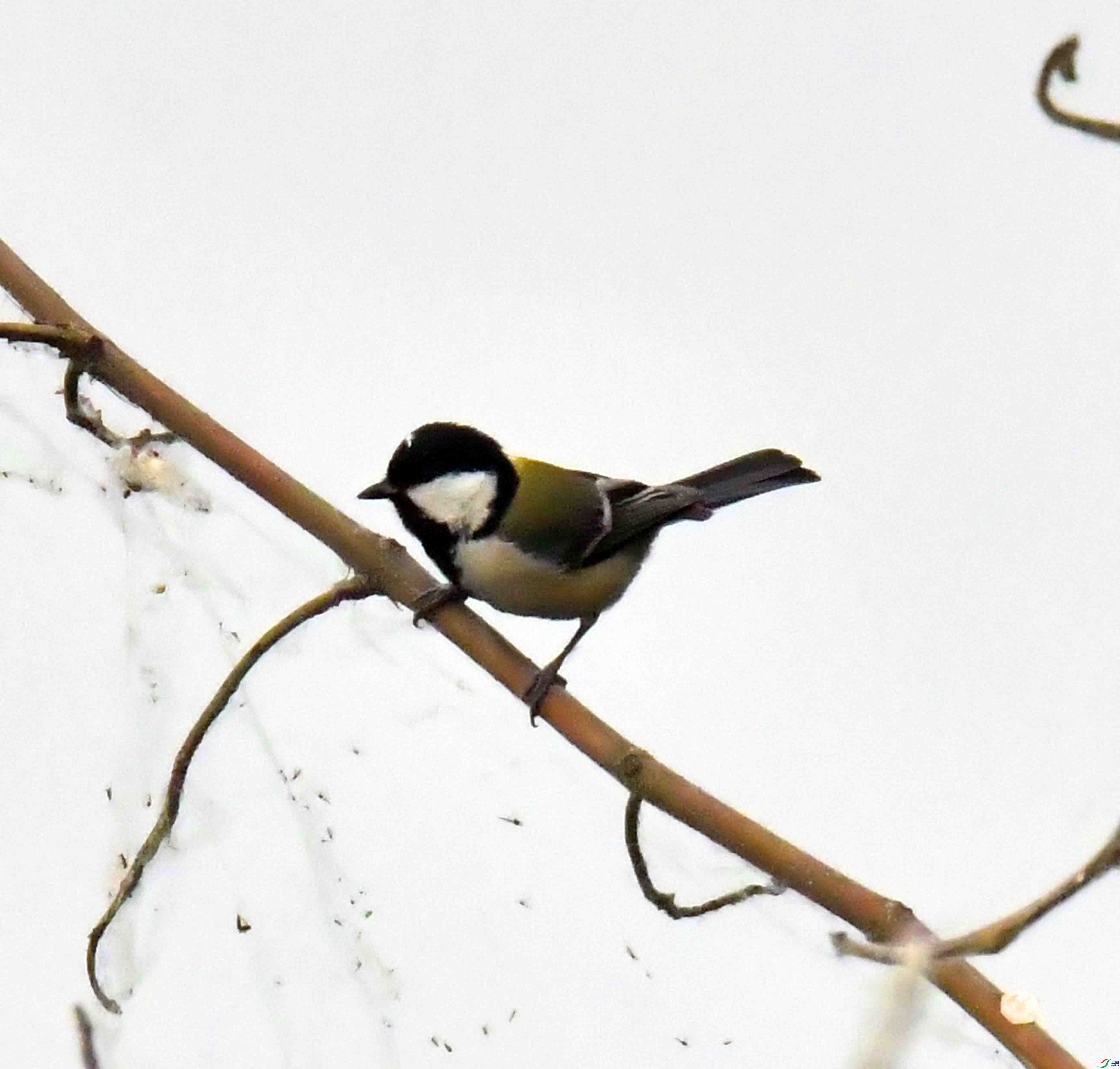 DSC_6283.JPG