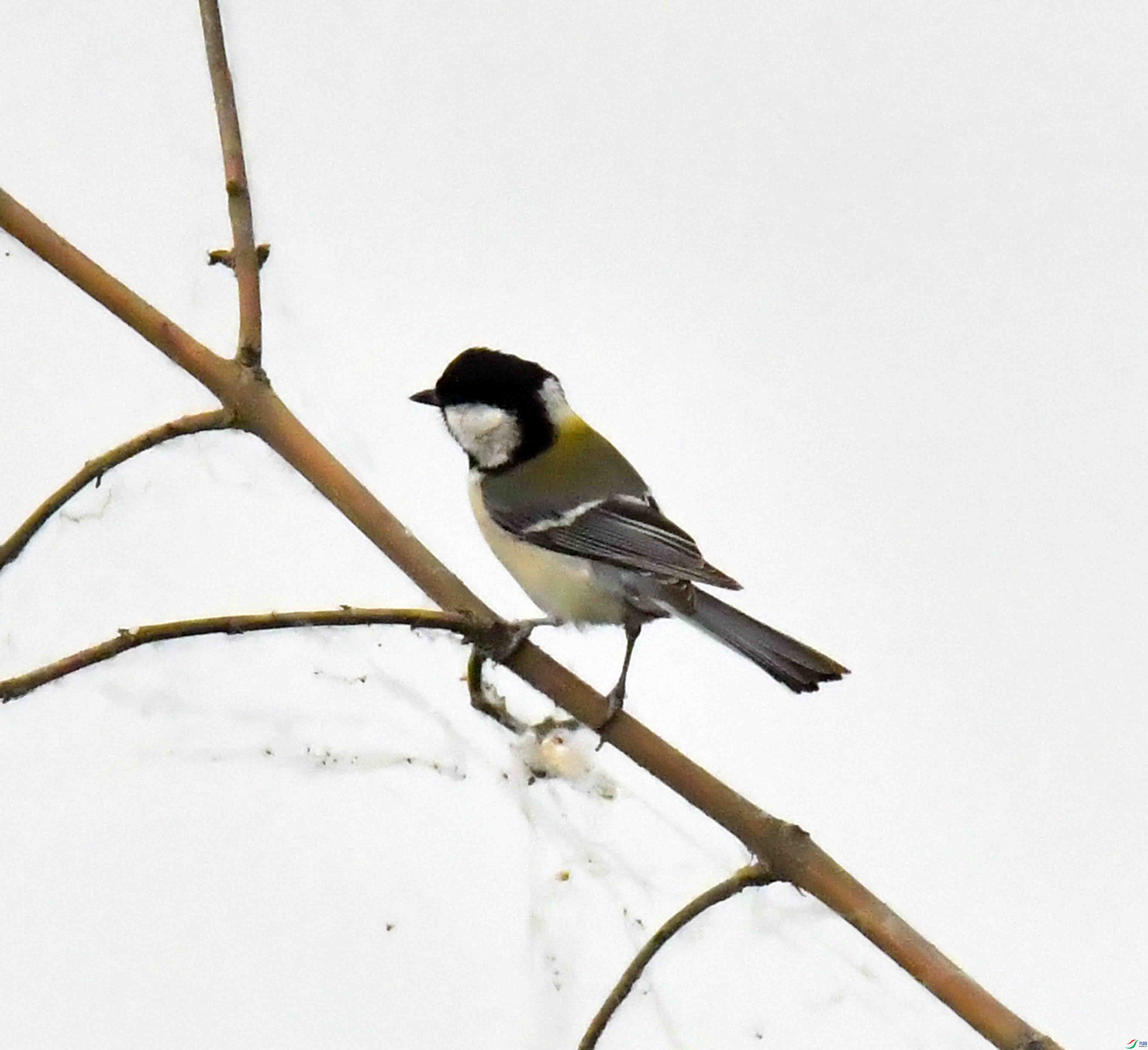 DSC_6291.JPG