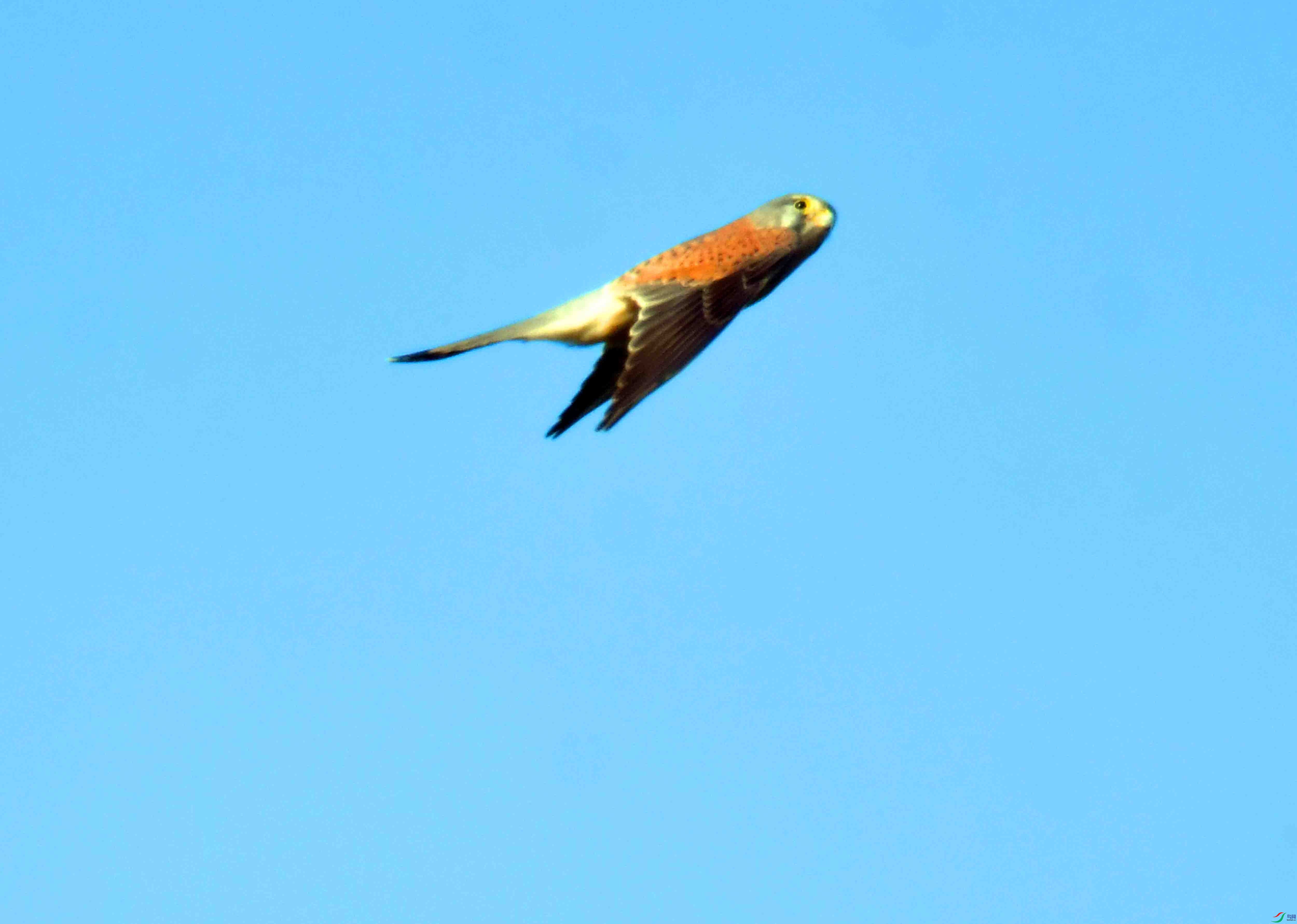DSC_3512.JPG