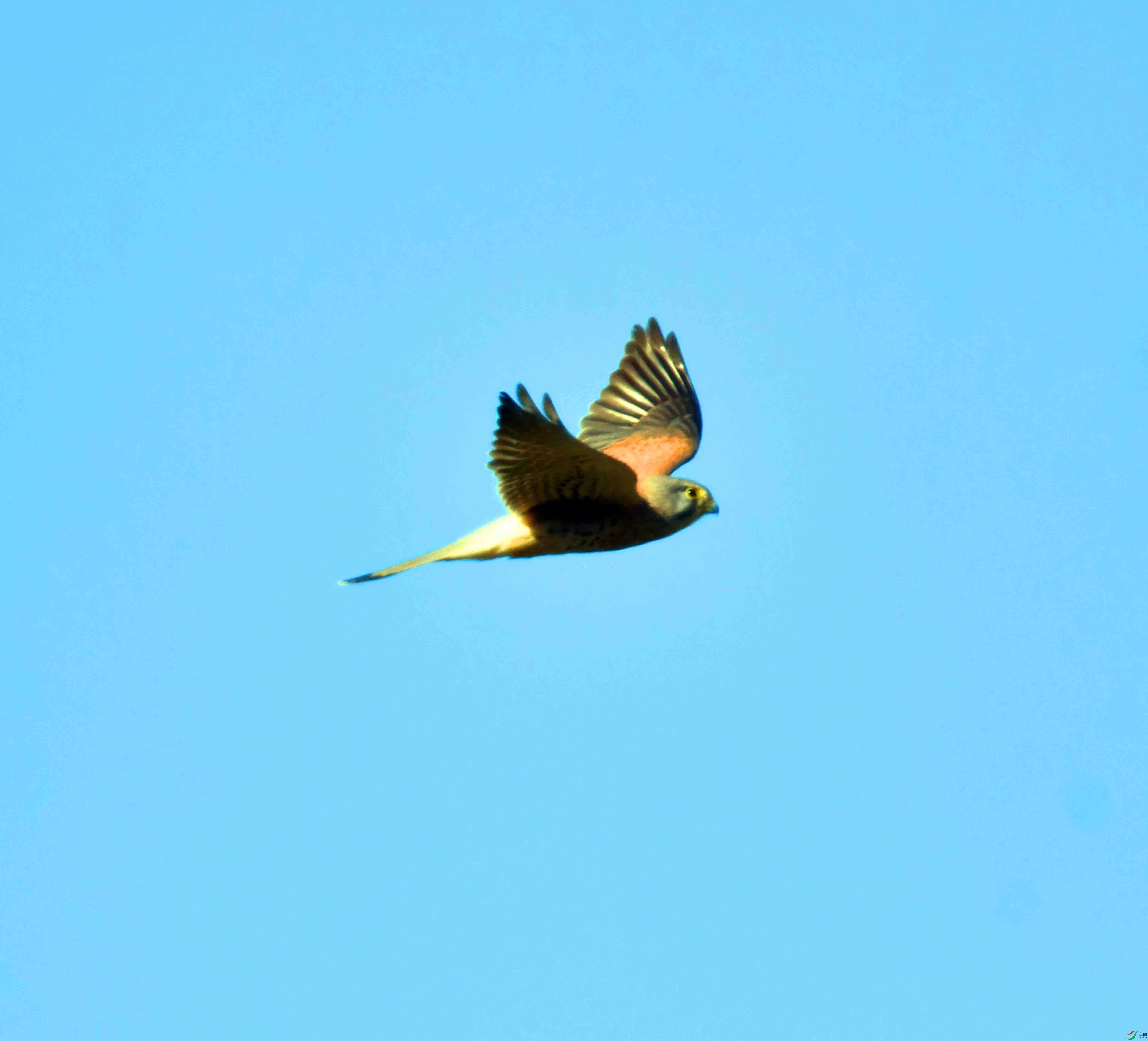 DSC_3514.JPG