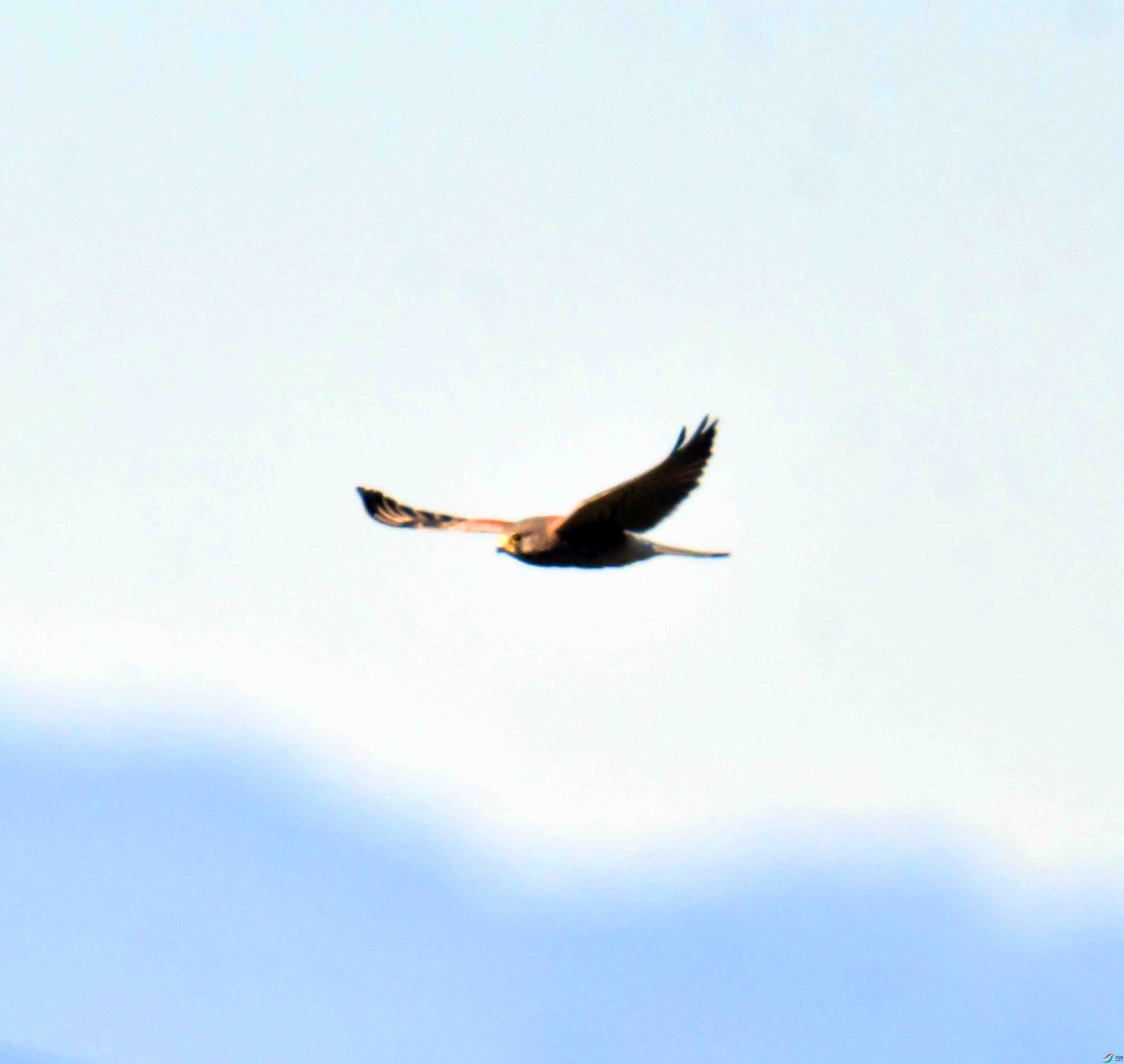 DSC_3647.JPG