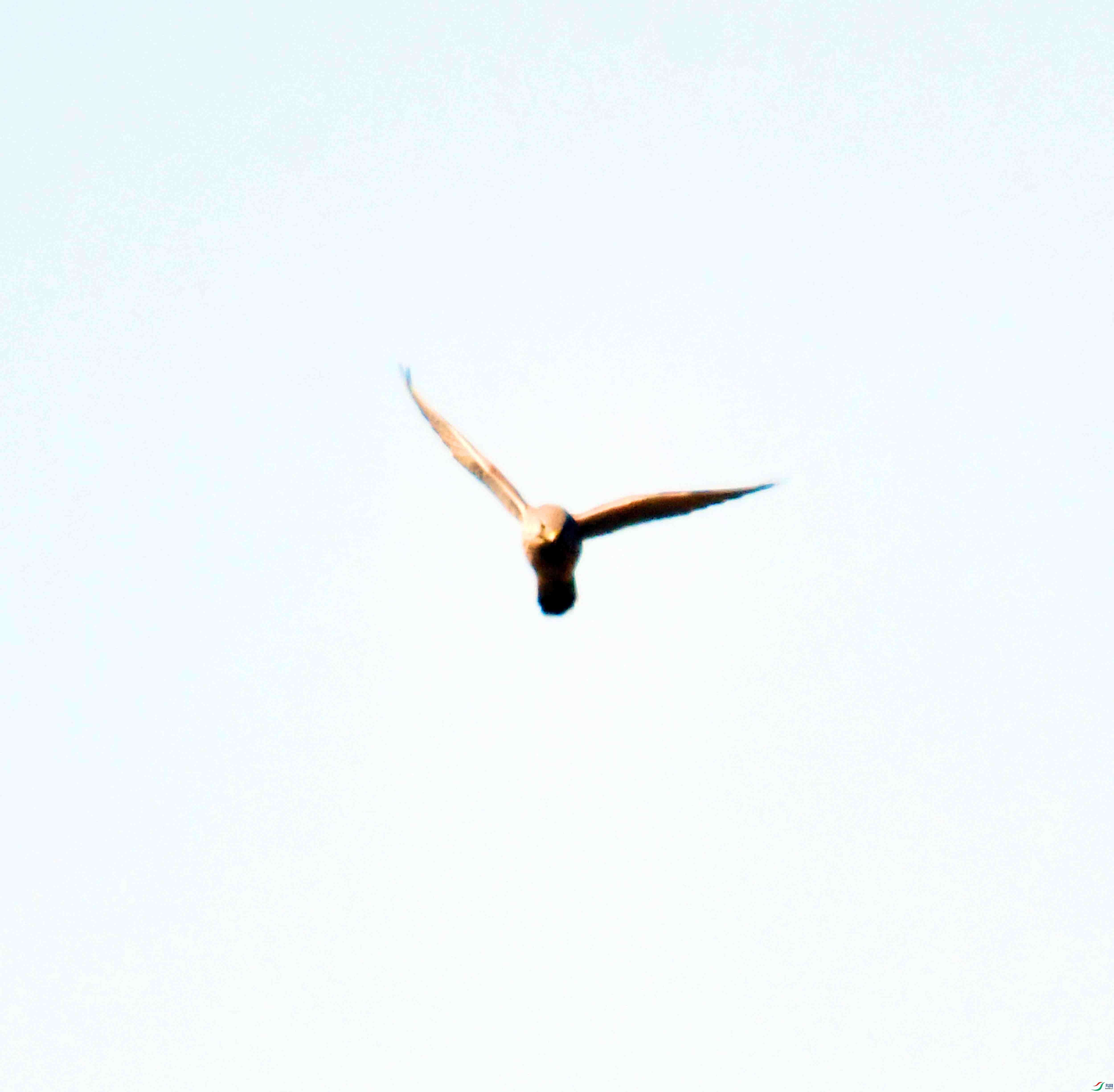 DSC_3735.JPG