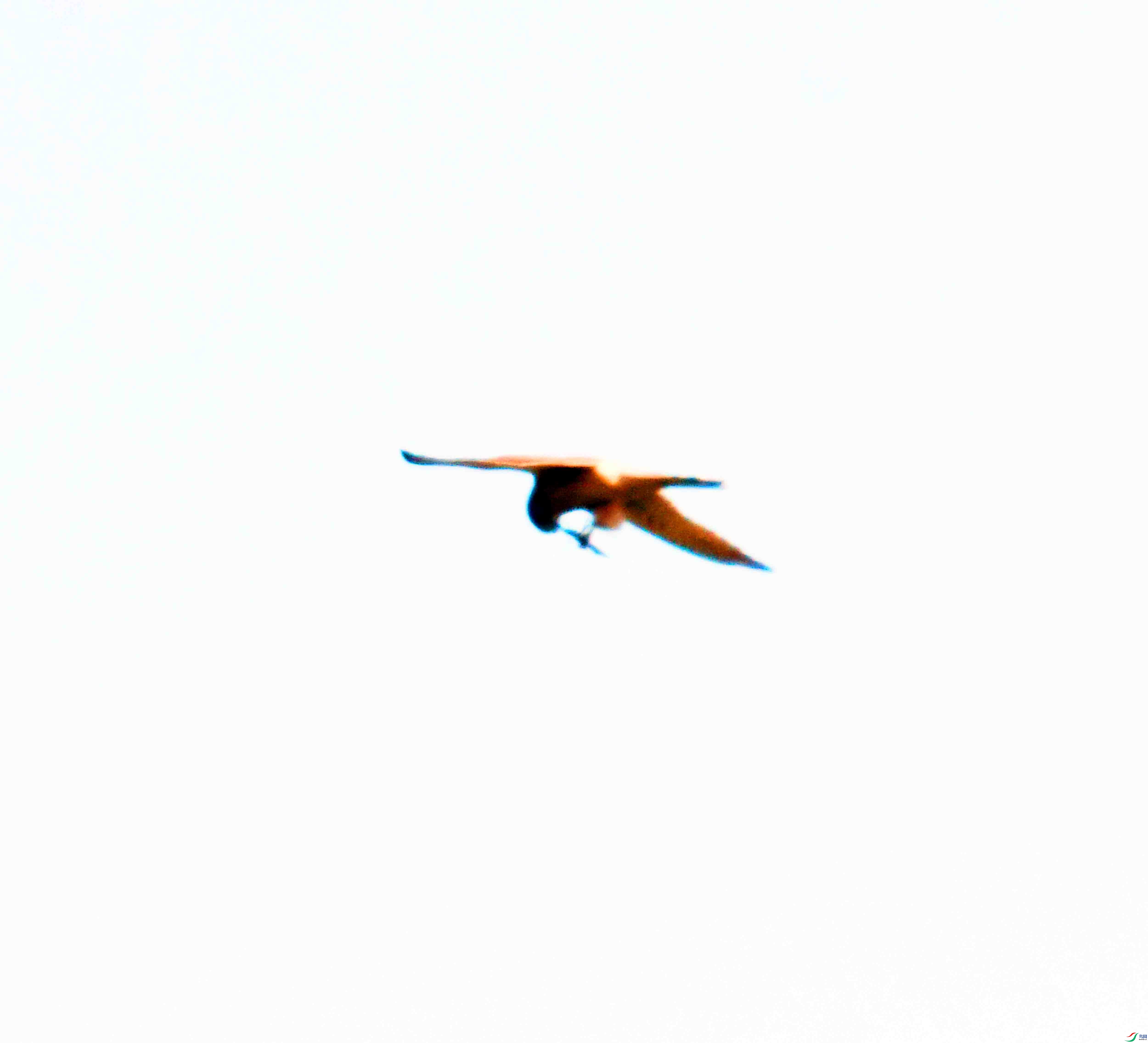 DSC_3854.JPG