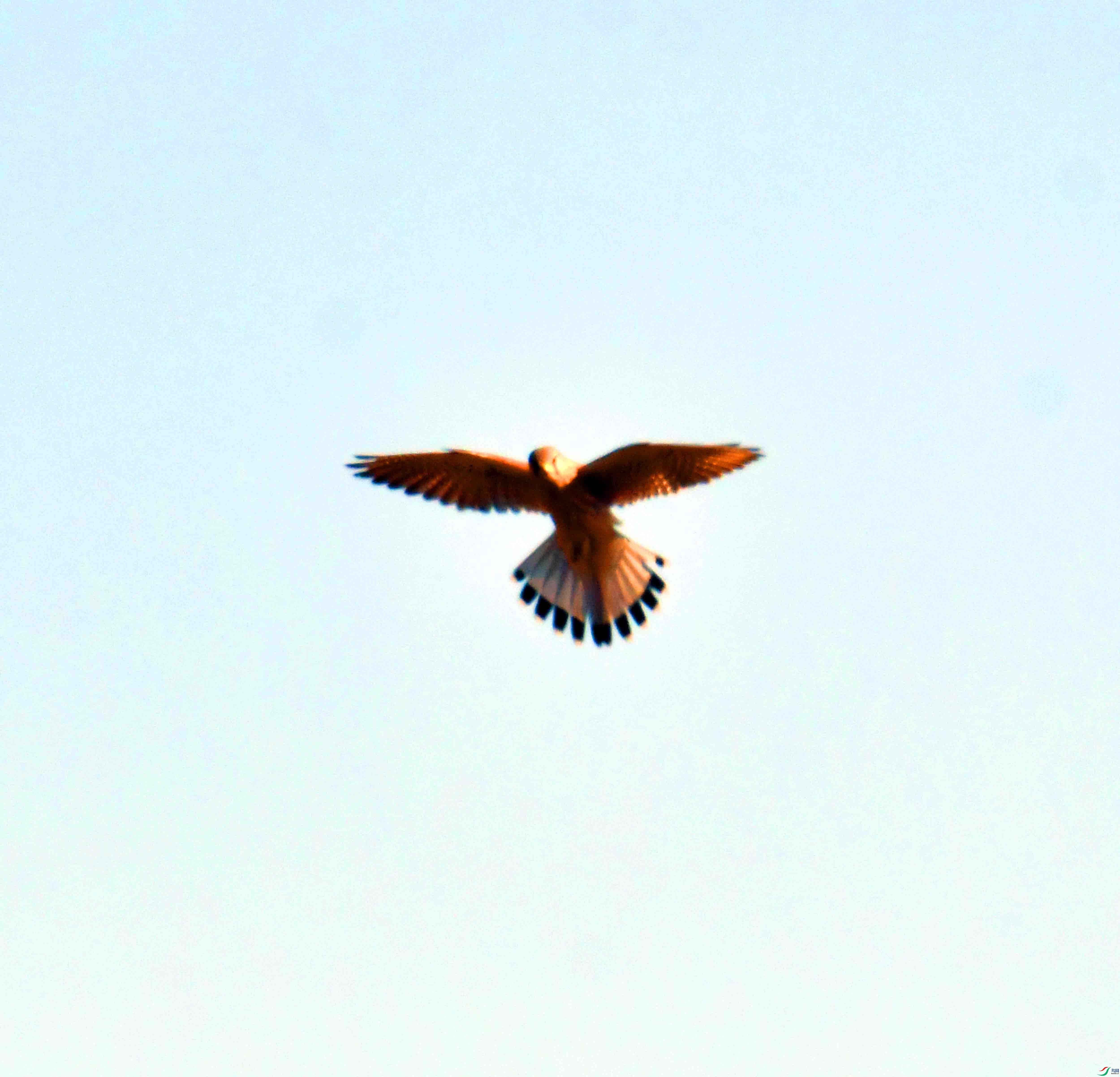 DSC_3975.JPG