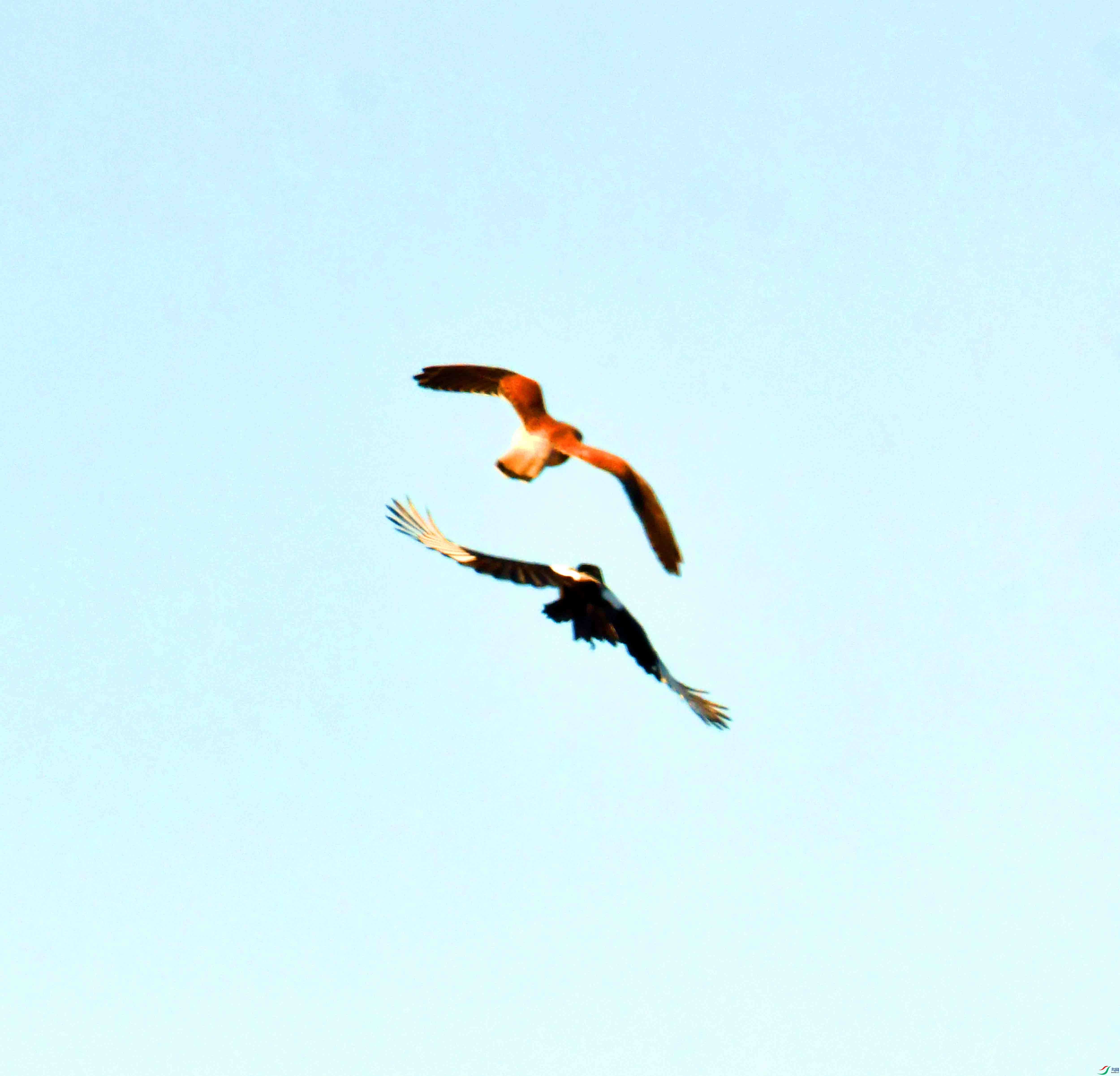 DSC_3992.JPG