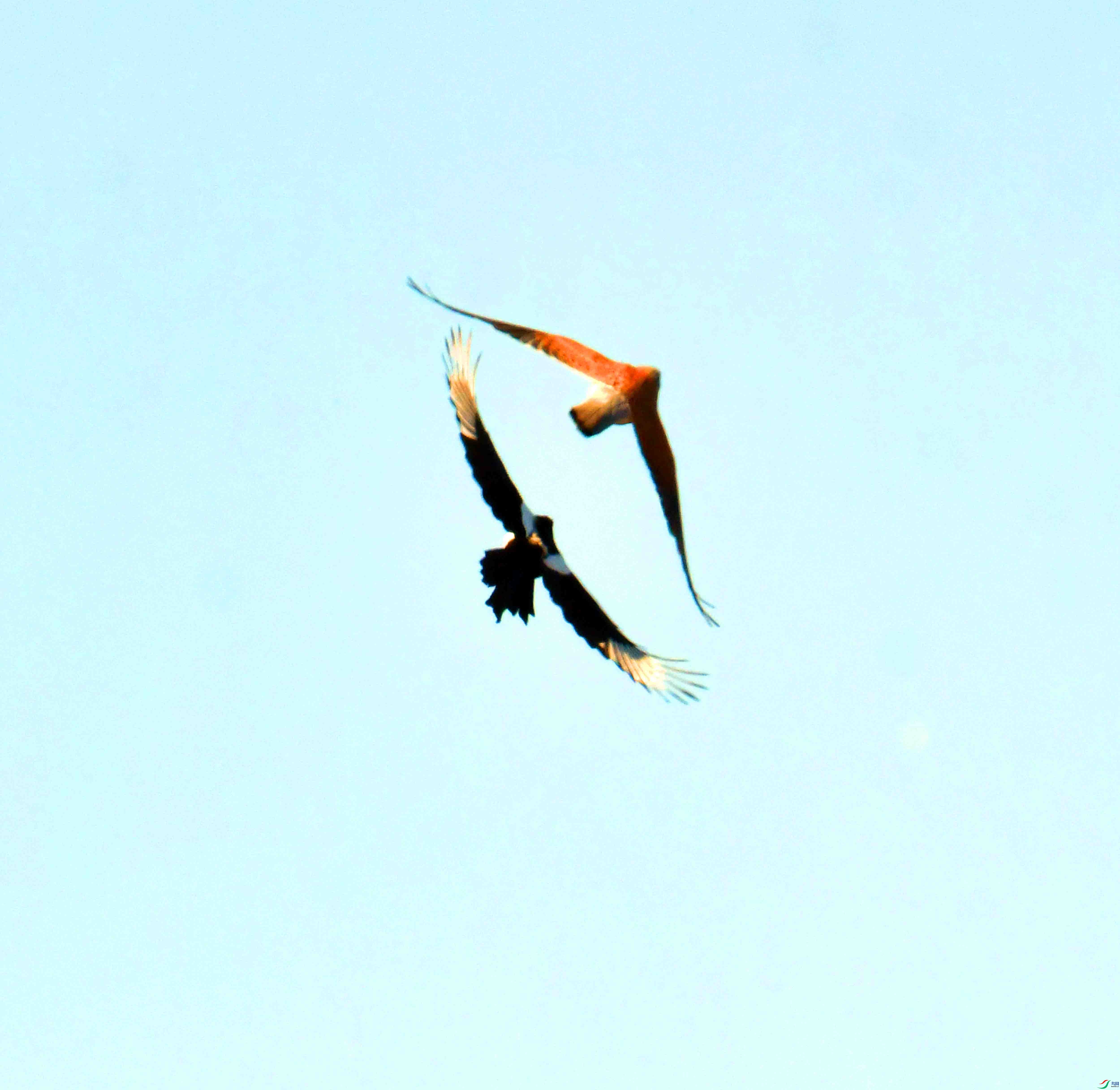 DSC_3993.JPG
