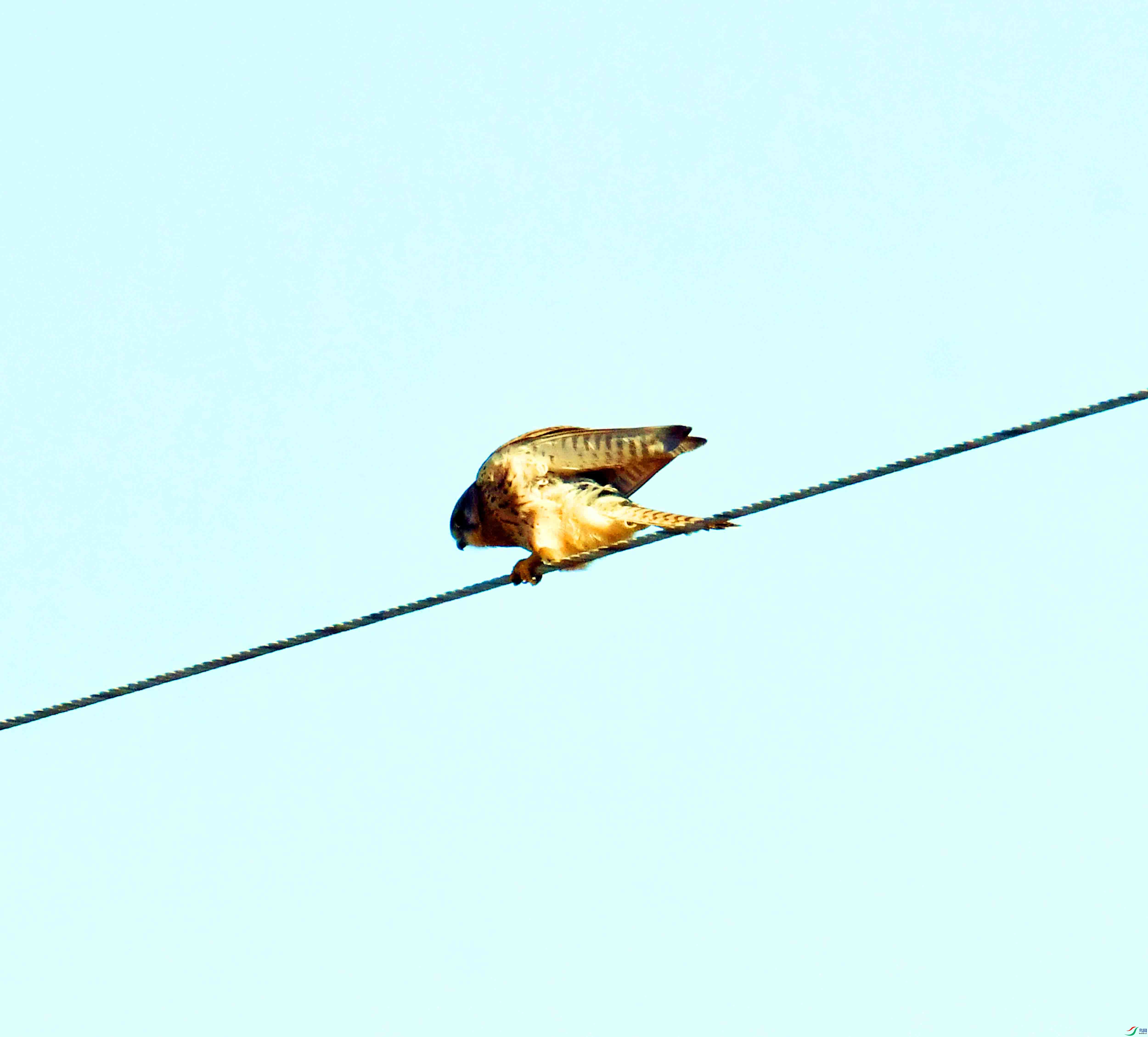 DSC_5733.JPG