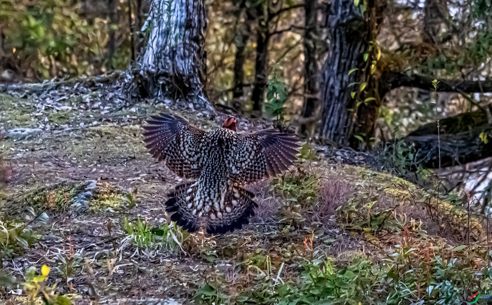 DSC_5568-11.jpg