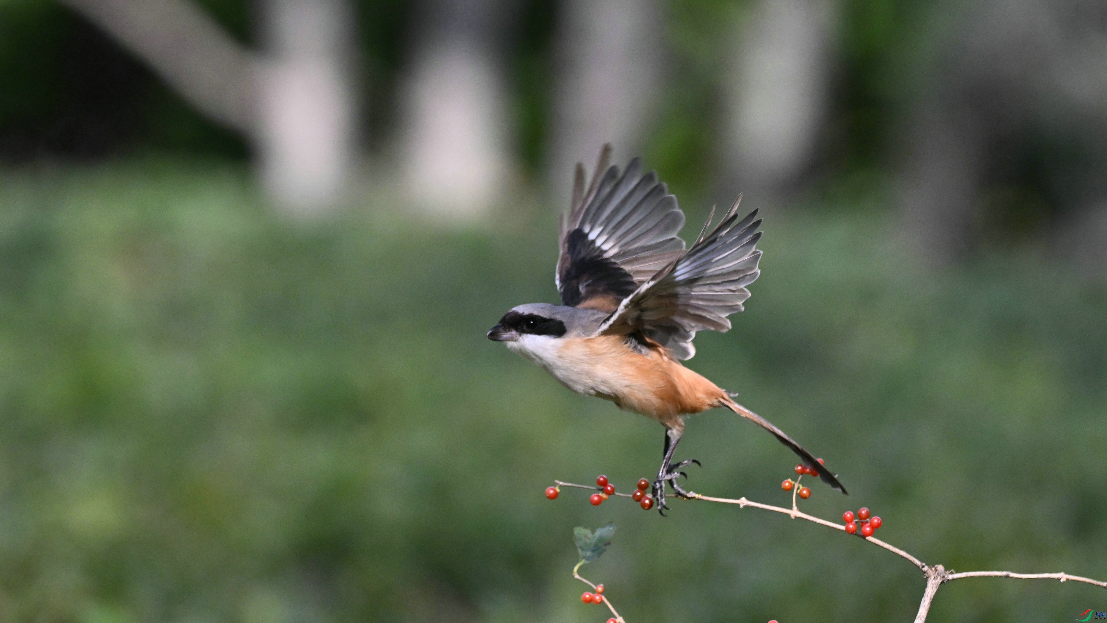 DSC_3606.JPG