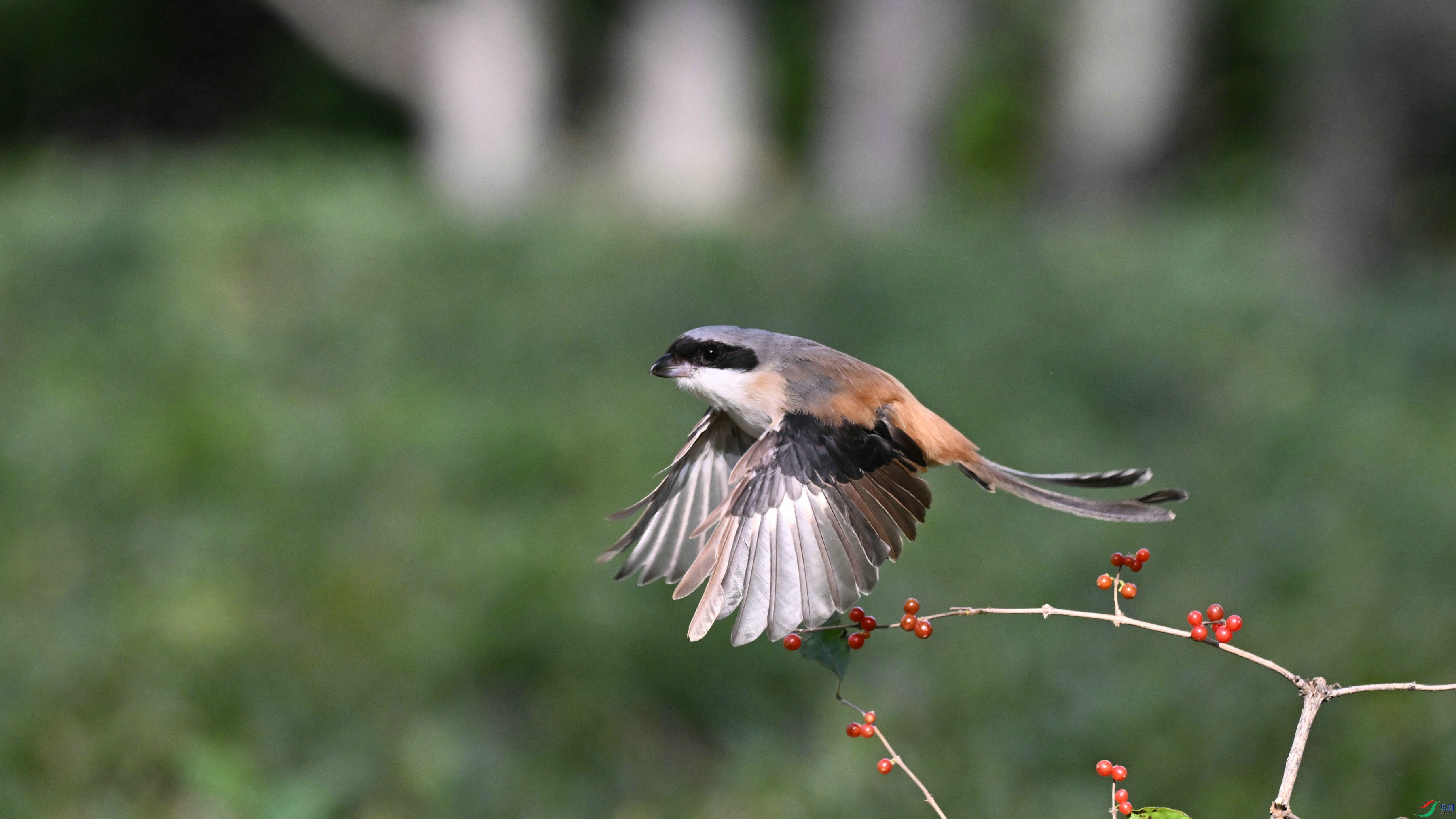 DSC_3607.JPG