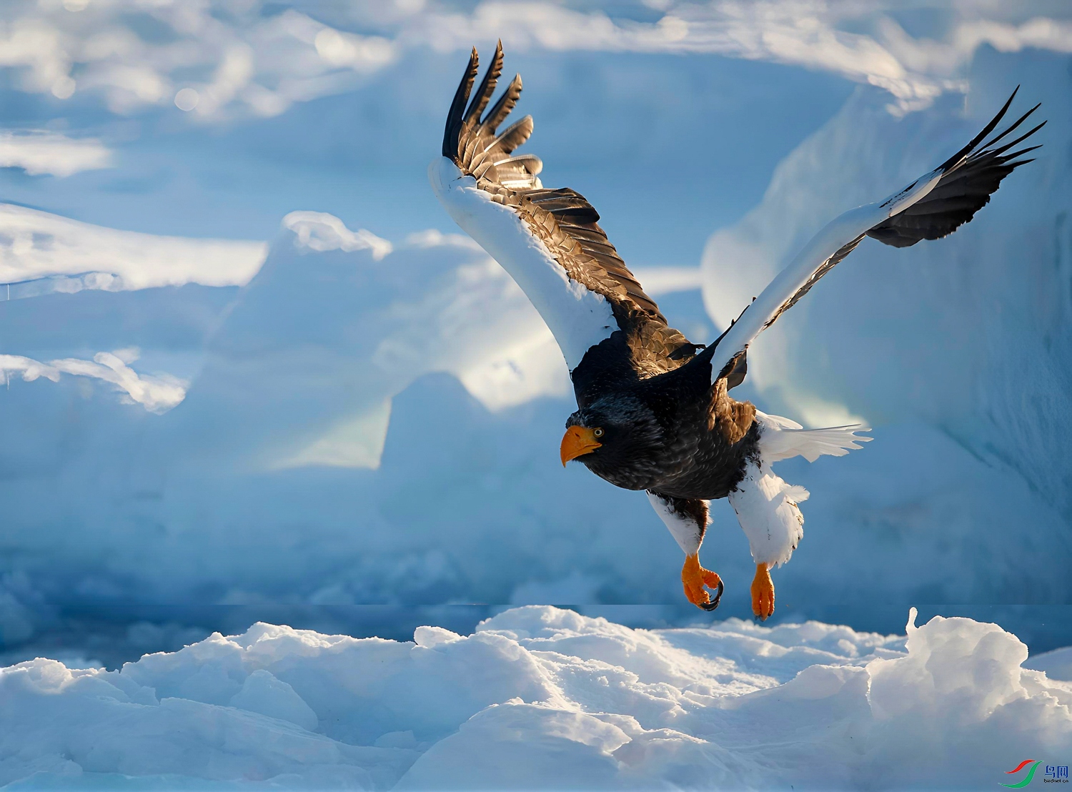 20251125190647_283_8 ���� 2.jpg