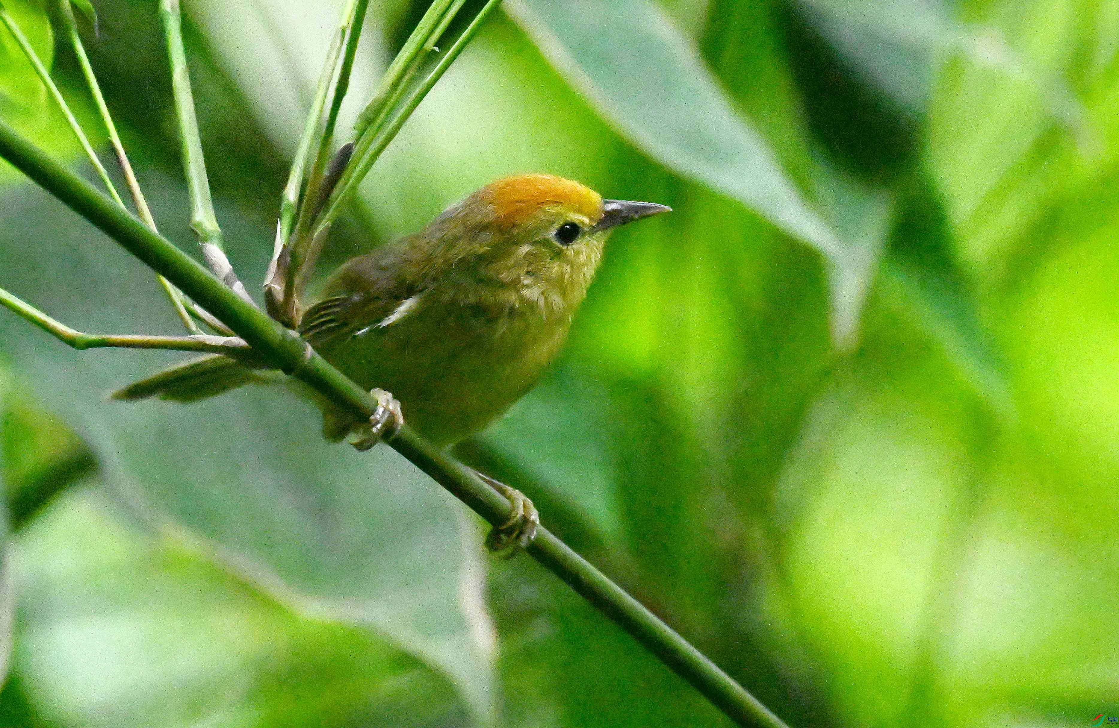 DSC_8654_����.jpg