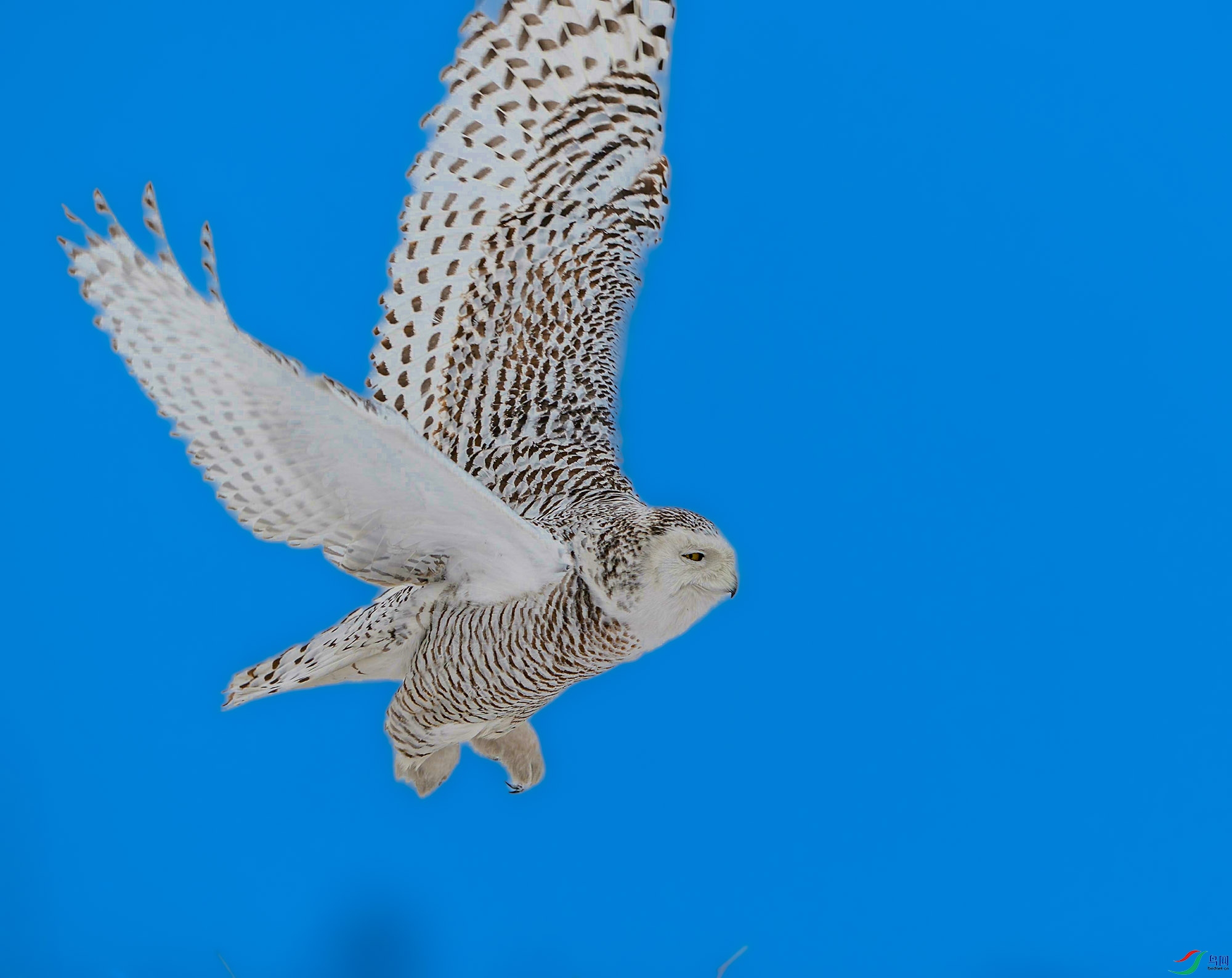 DSC_2563---ѩ�^ - ����.jpg