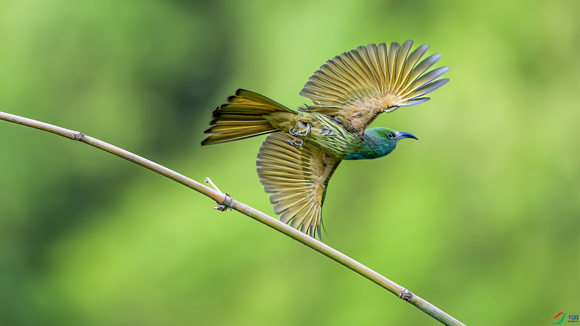 _DSC4476 ���� 3.jpg