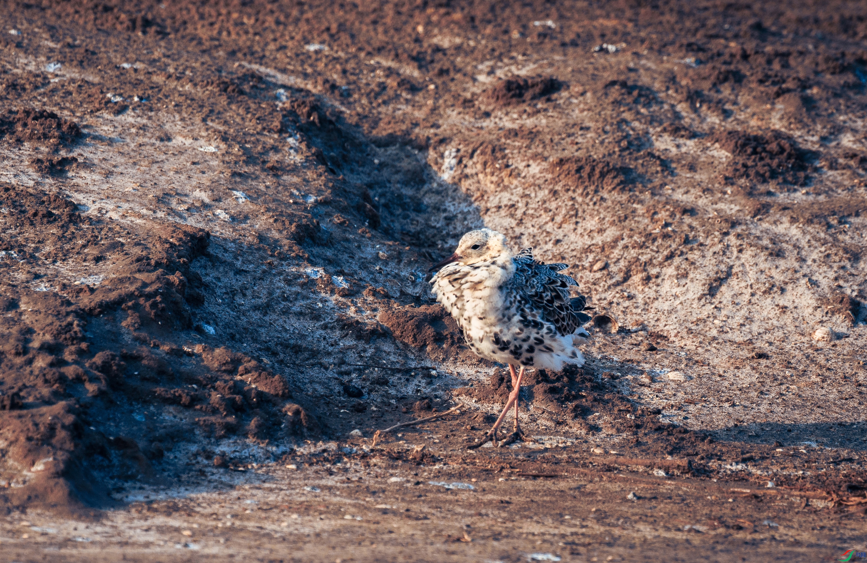 _DSC5219 ����.jpg