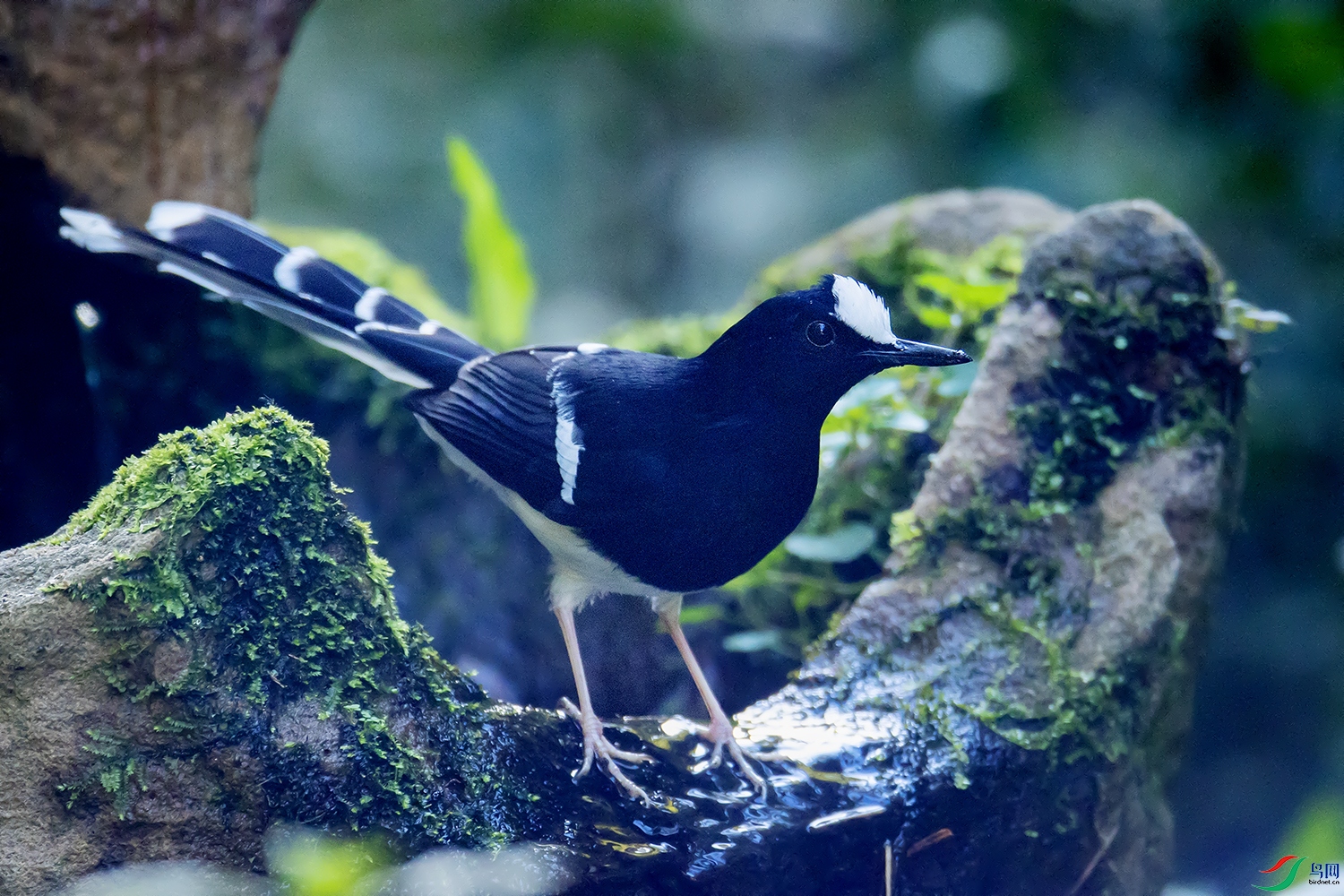 BC9I8925 ����.jpg