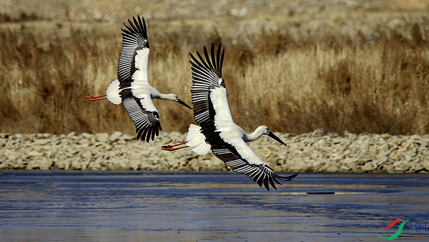 _MG_3105 ���� 2.jpg