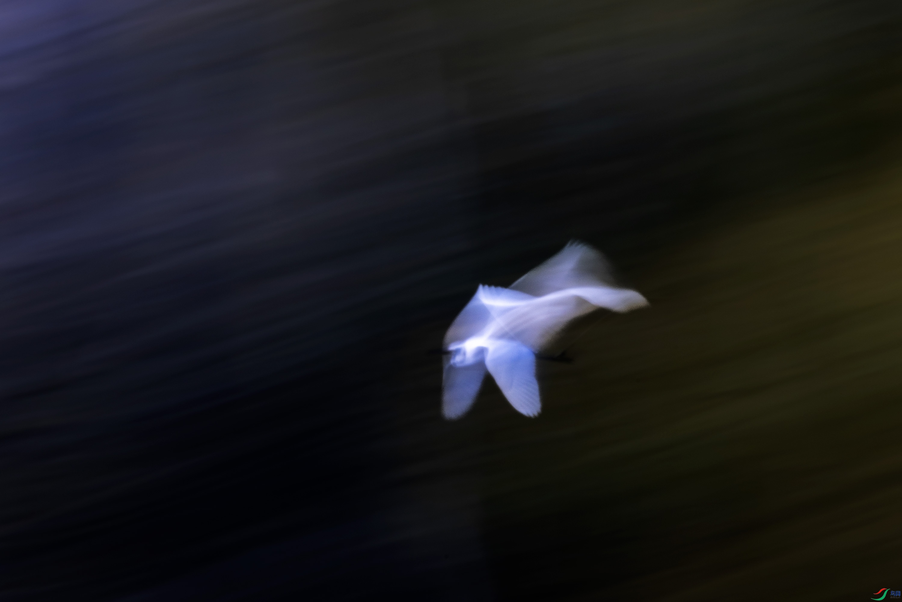 278A3095.jpg