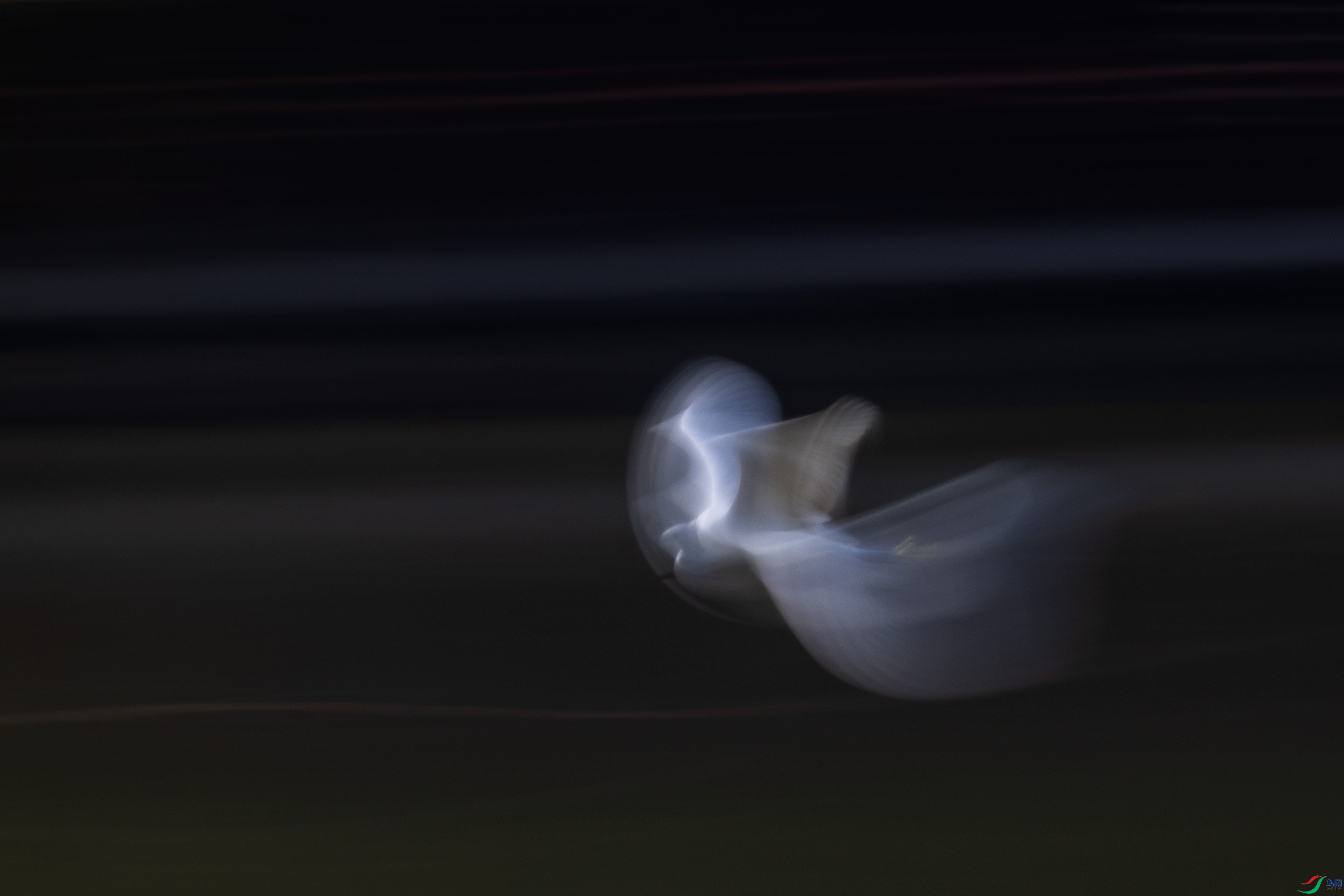 278A3171.jpg