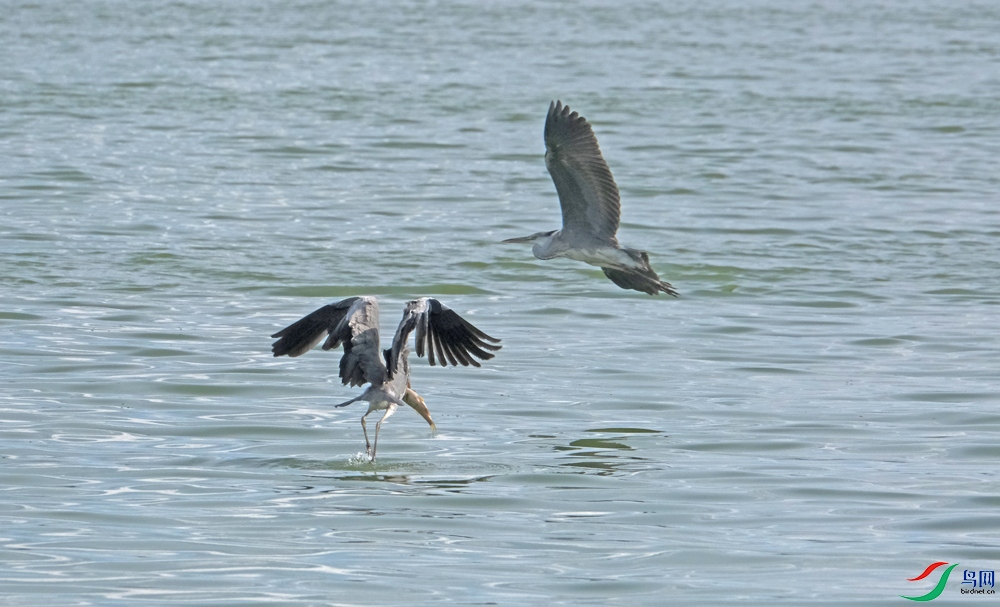DSCF6700.1.jpg