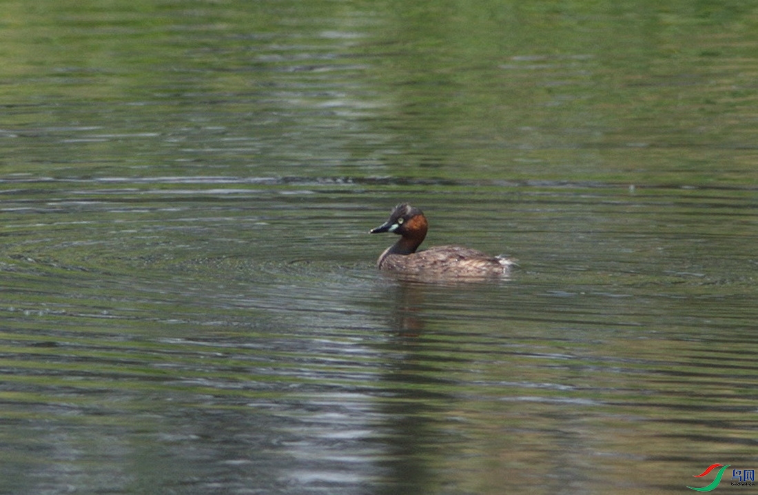 DSC_2282z_������С.jpg