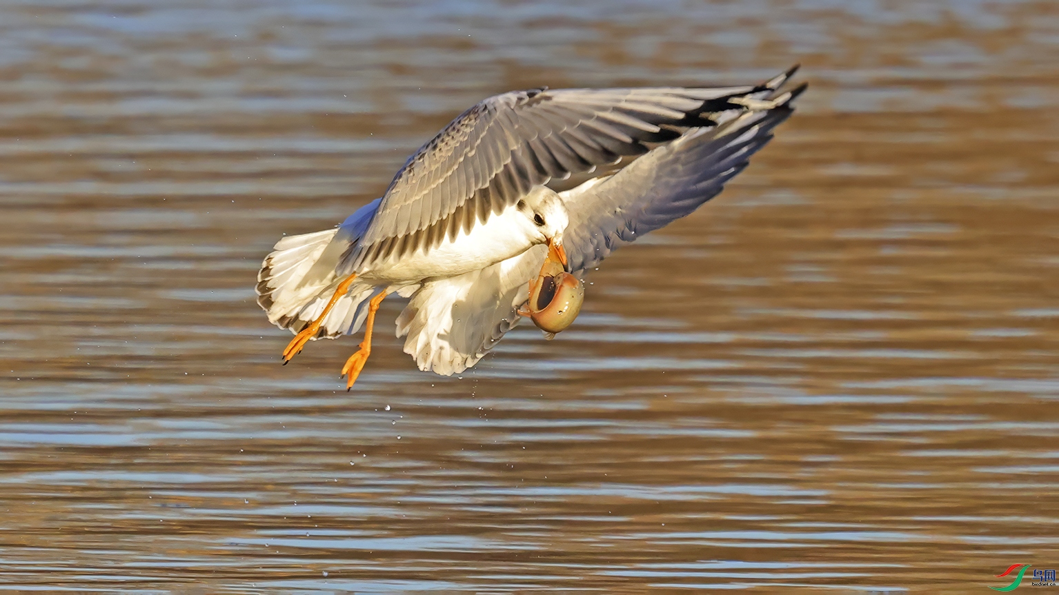 3U2A9034 ���� 2.jpg