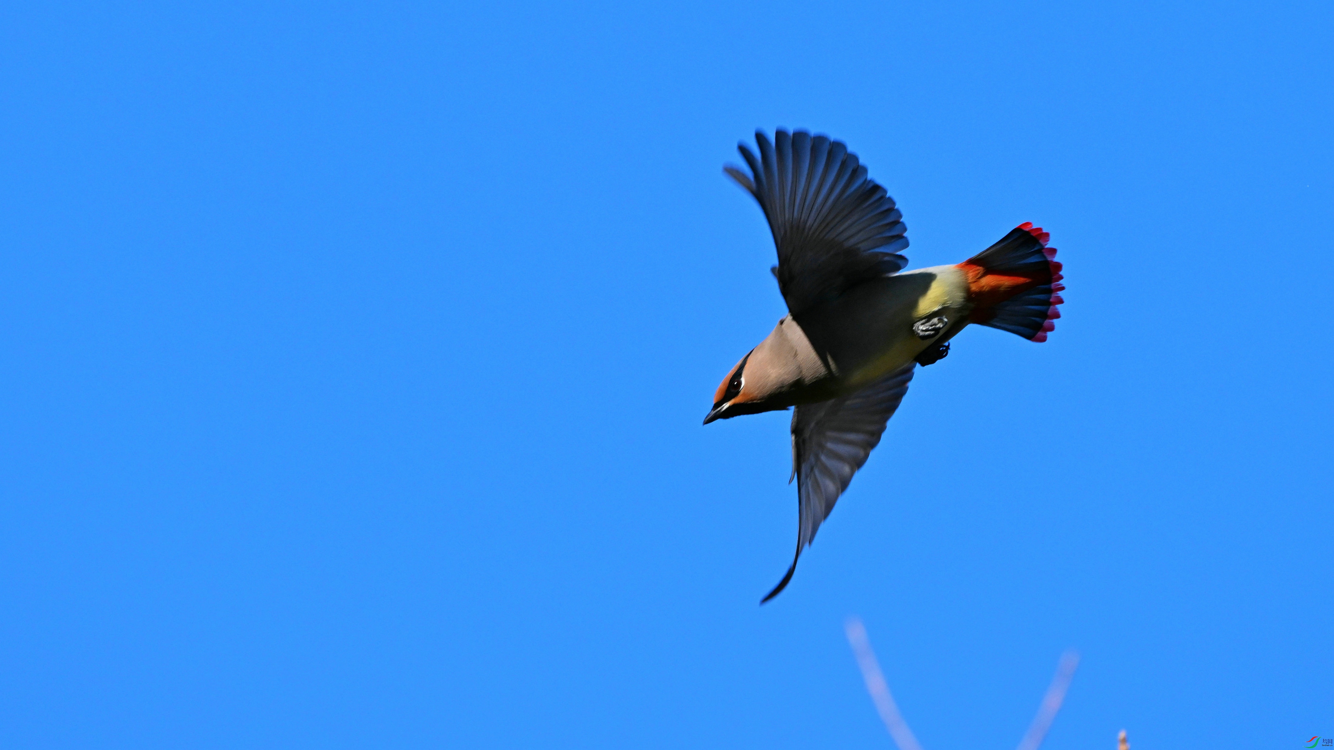 DSC_4151.JPG