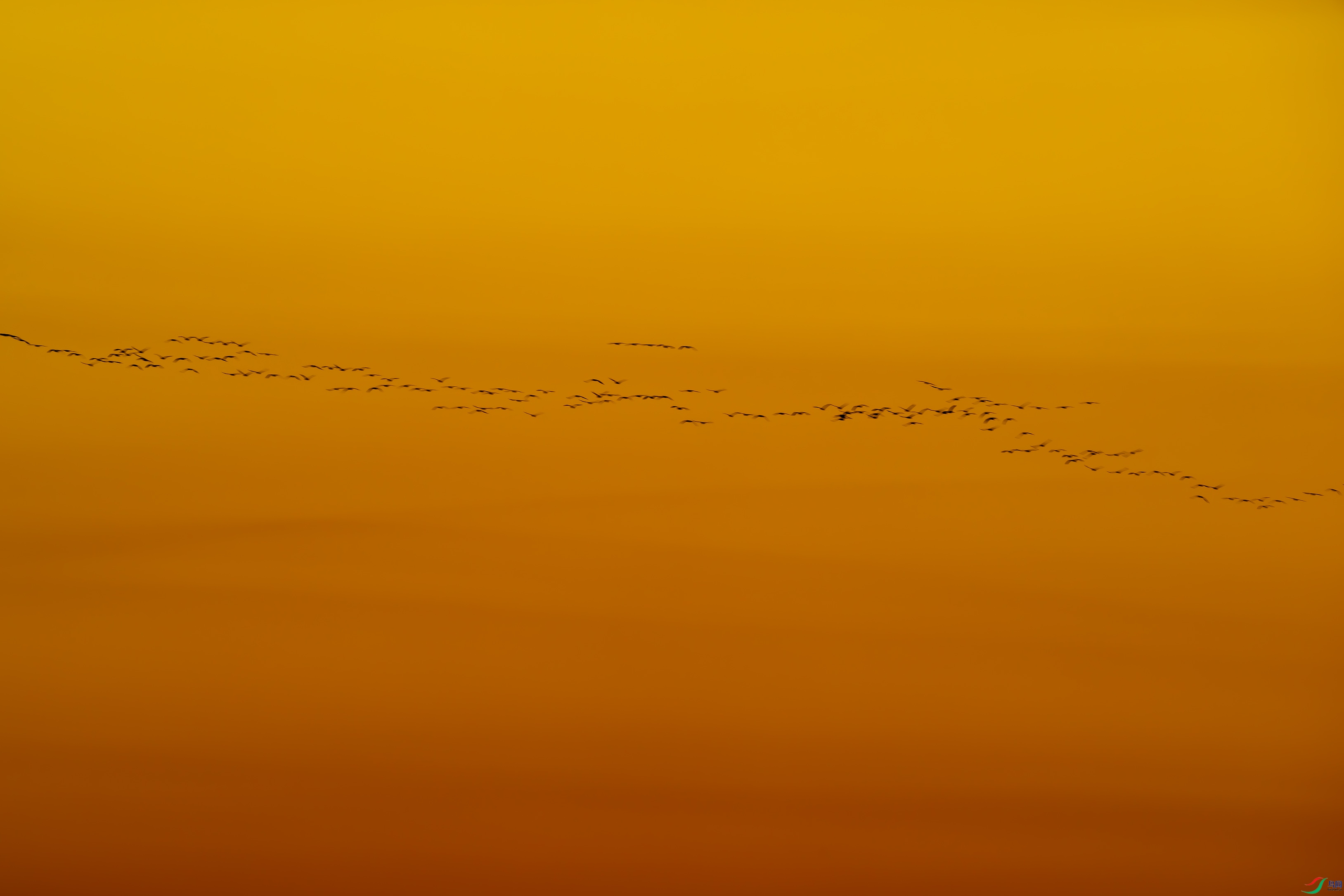 DSC_8958.jpg