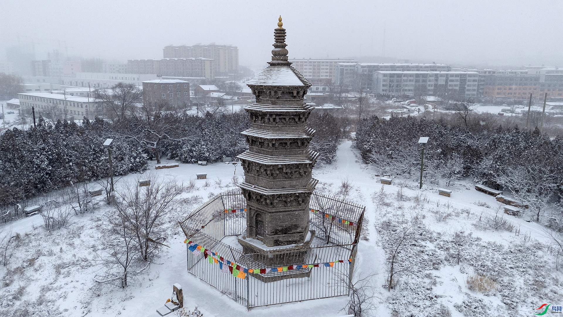 ���Ͼ�����