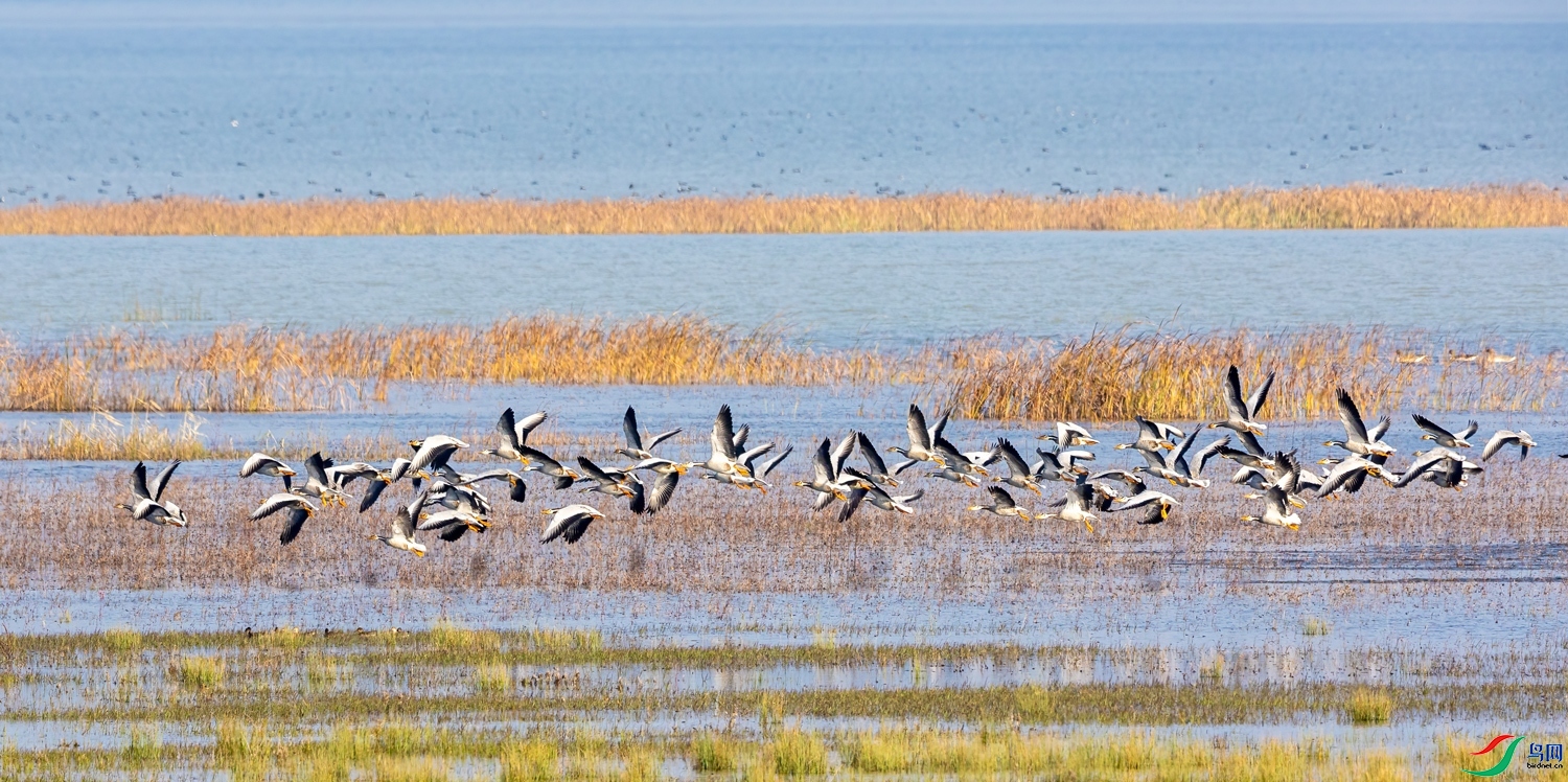 11.23����ɽ������ʦ��Ʒ   Ⱥ�� ��ף���ٻ���Ӱʦ������.jpg