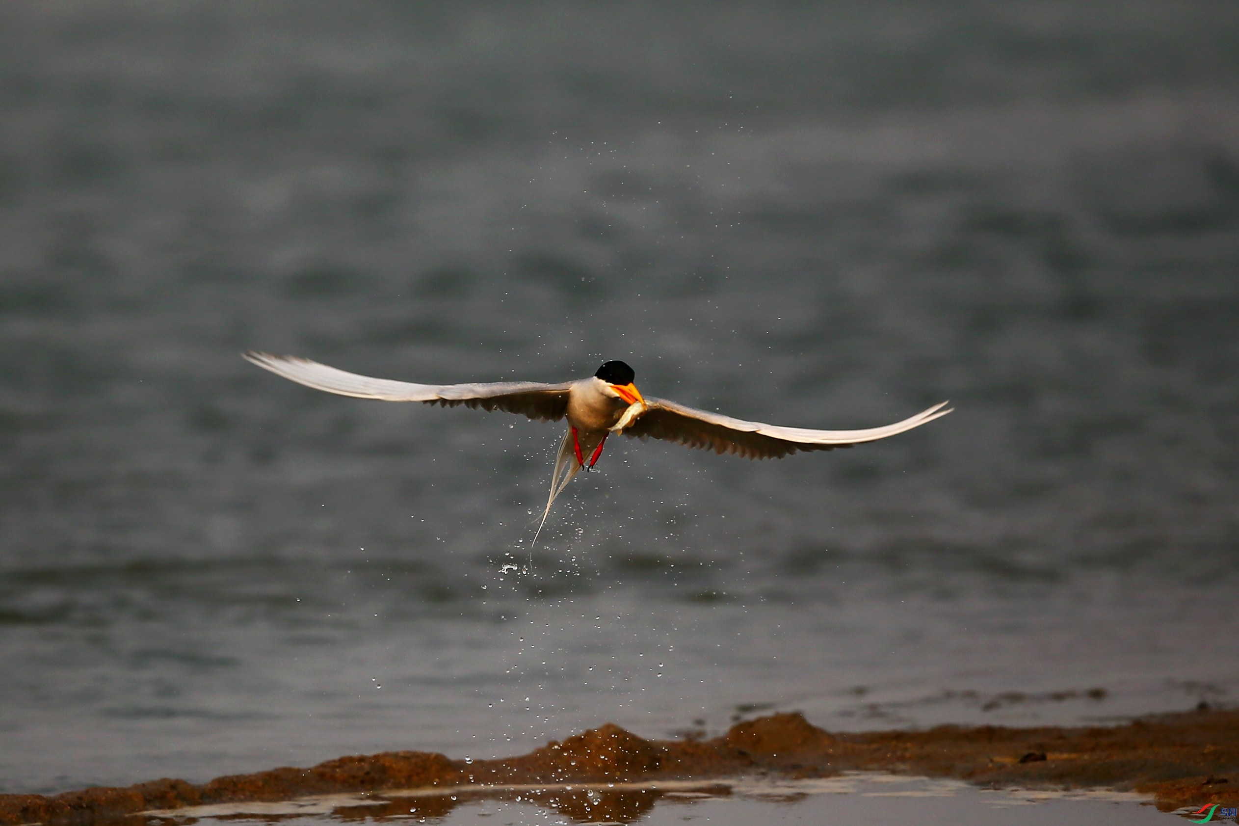 �������Ÿ (39).JPG