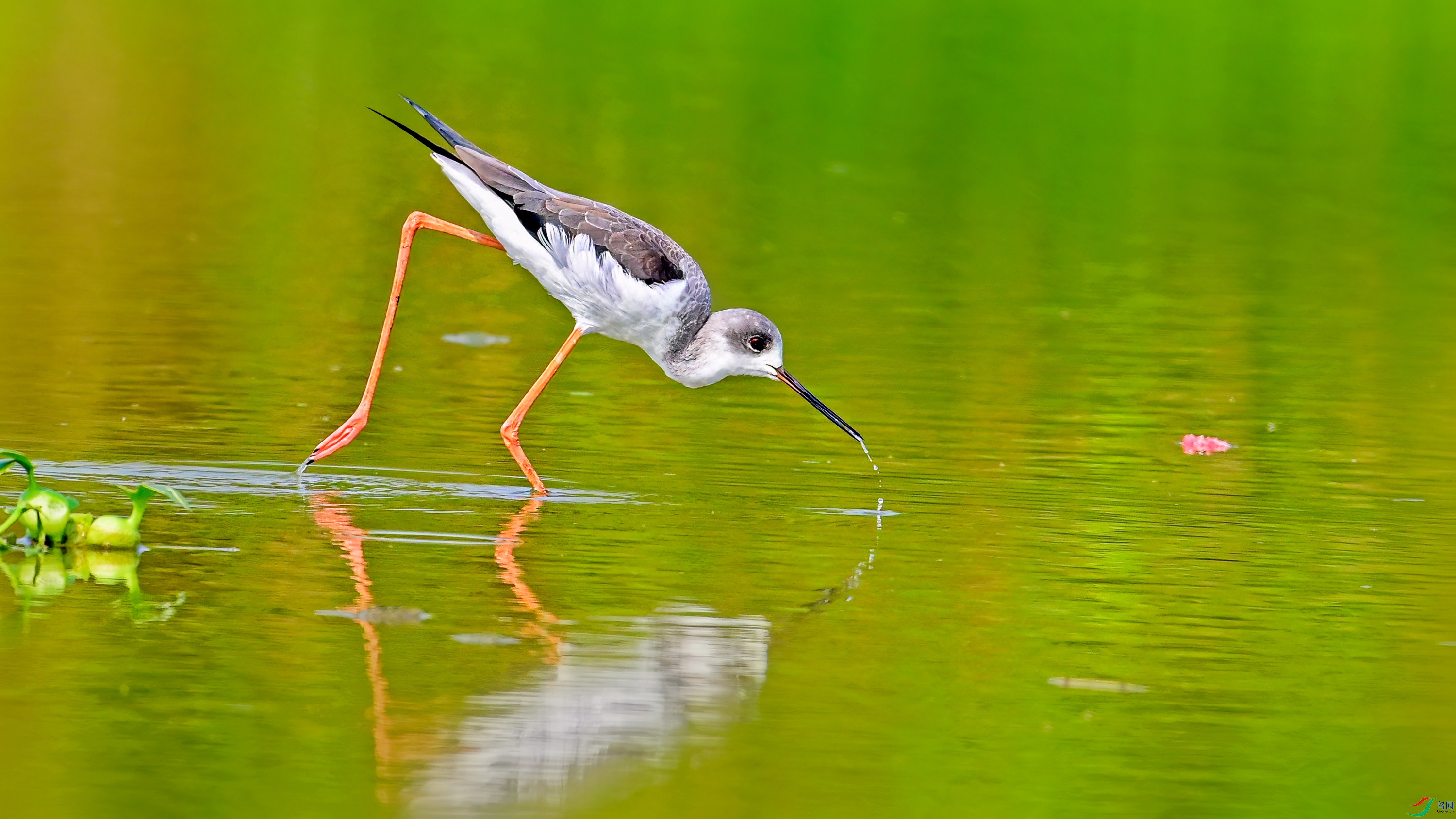 75.jpg