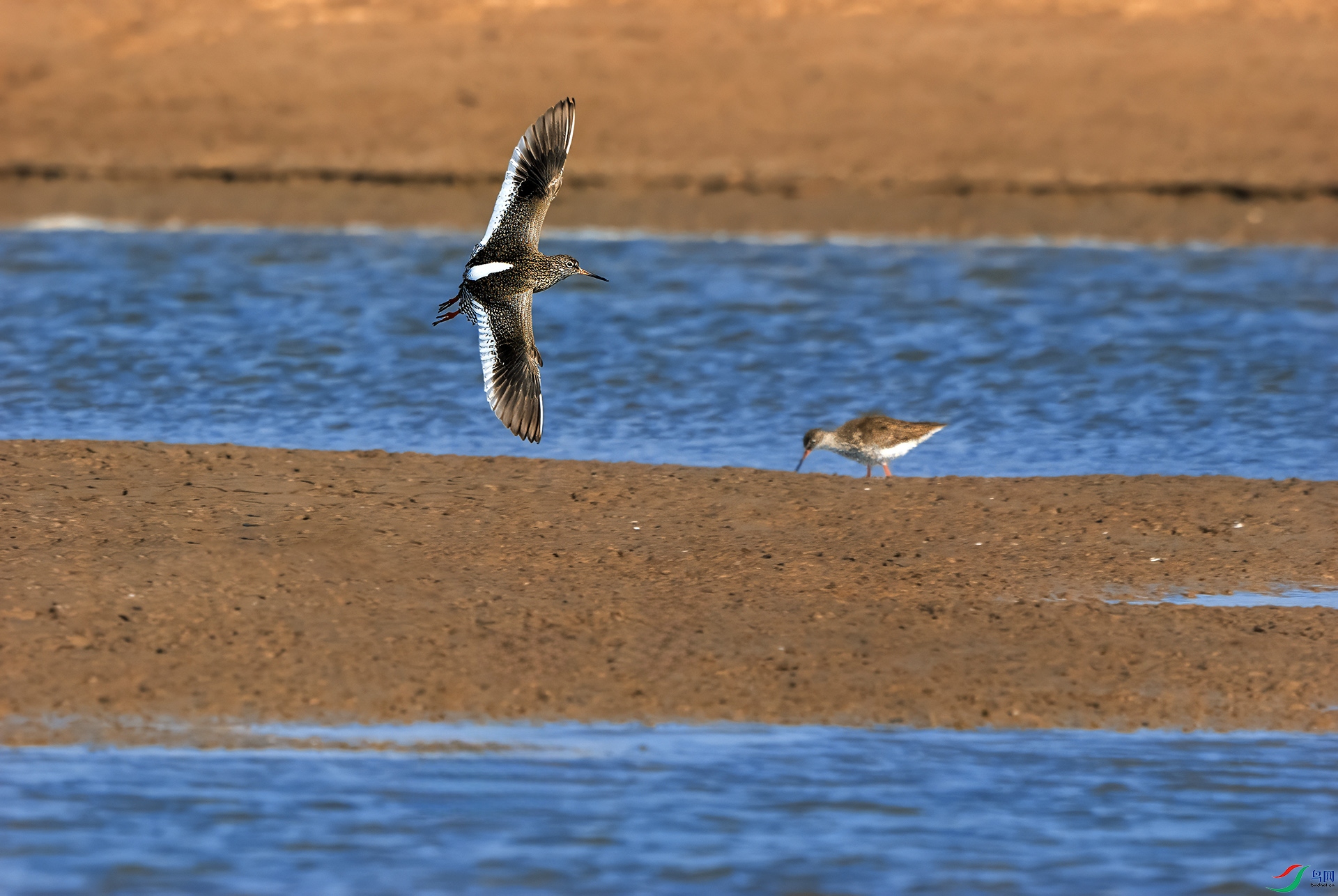 DSC03012 ����.jpg