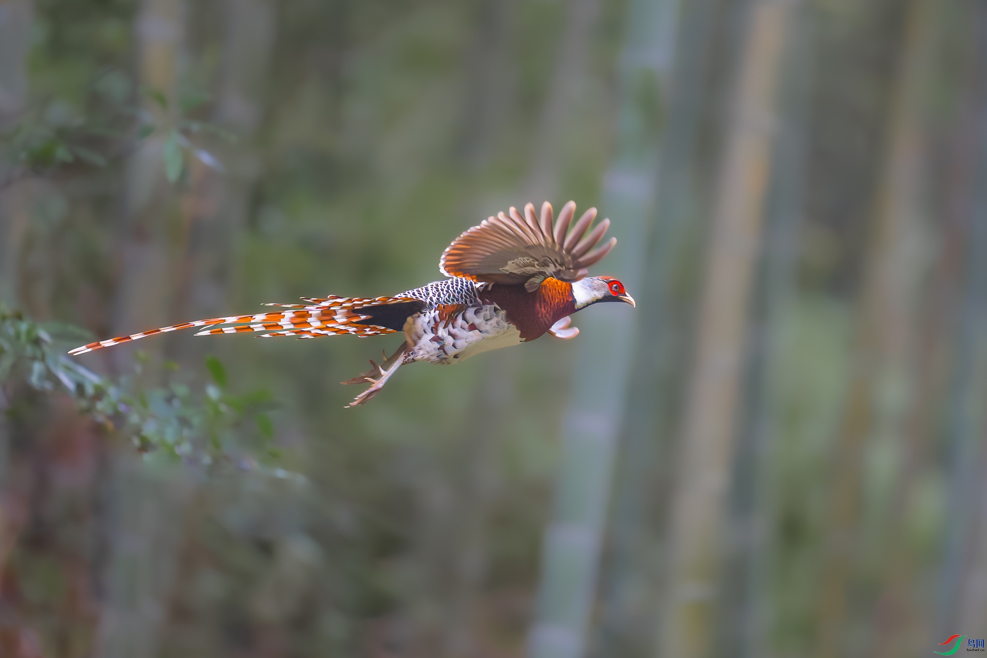 DSC9400.jpg