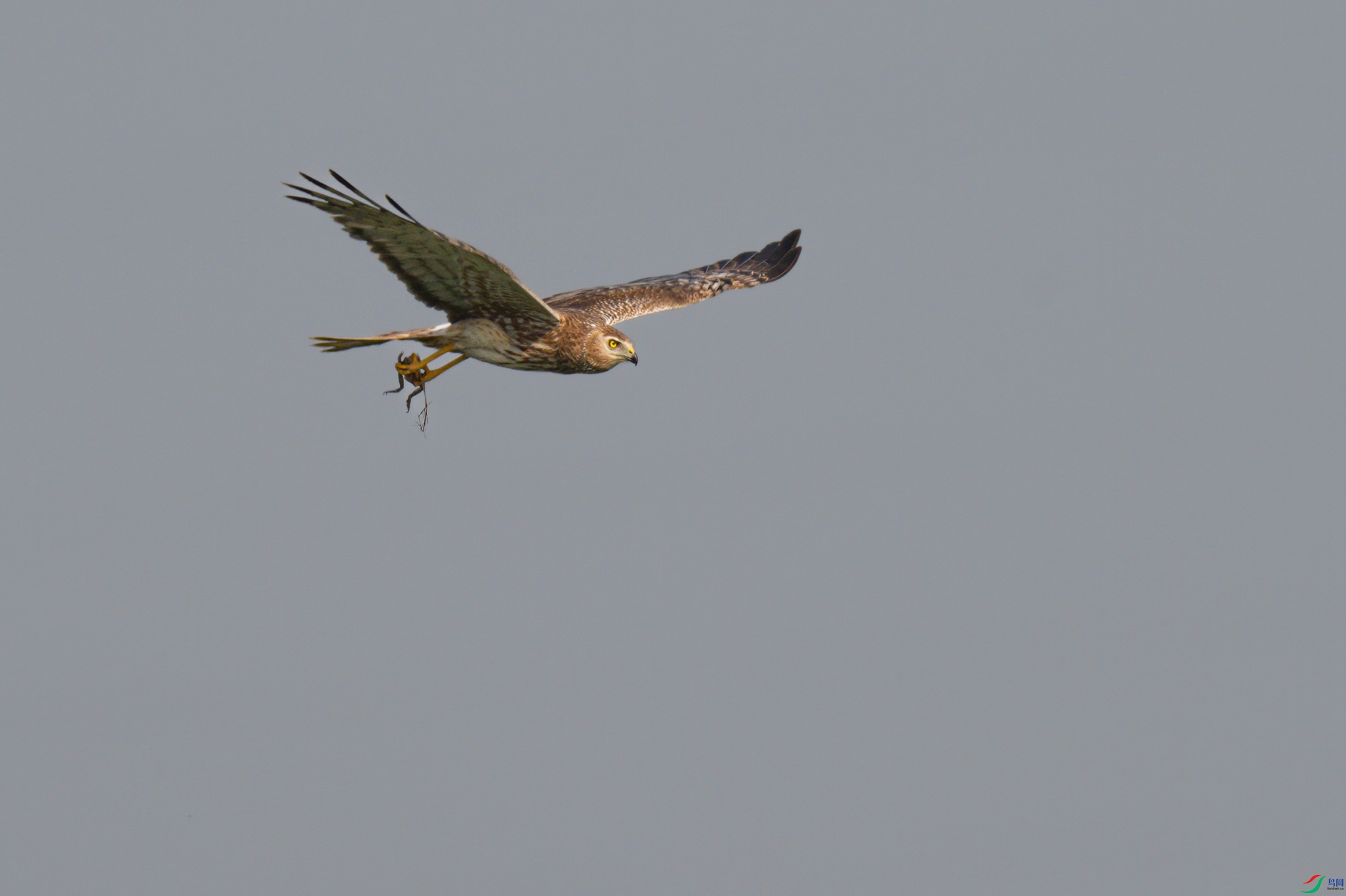 DSC_0214sen2024-6-16-014-�༭.jpg