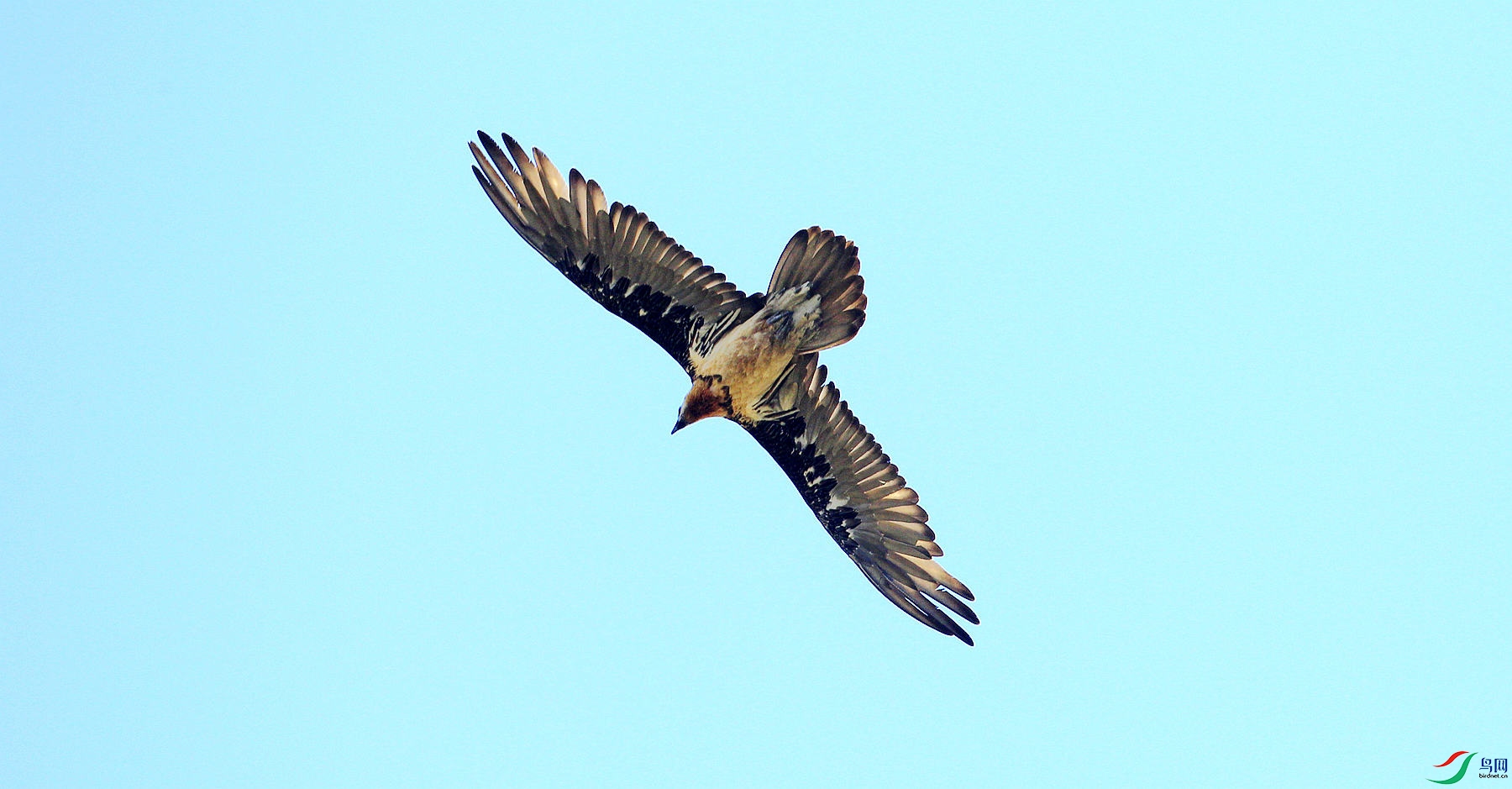 _U9G0028_����.jpg
