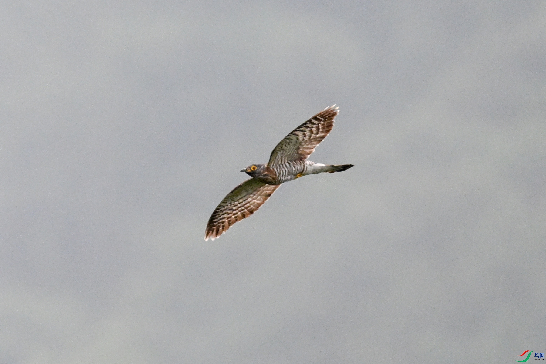 DSC_9440.JPG