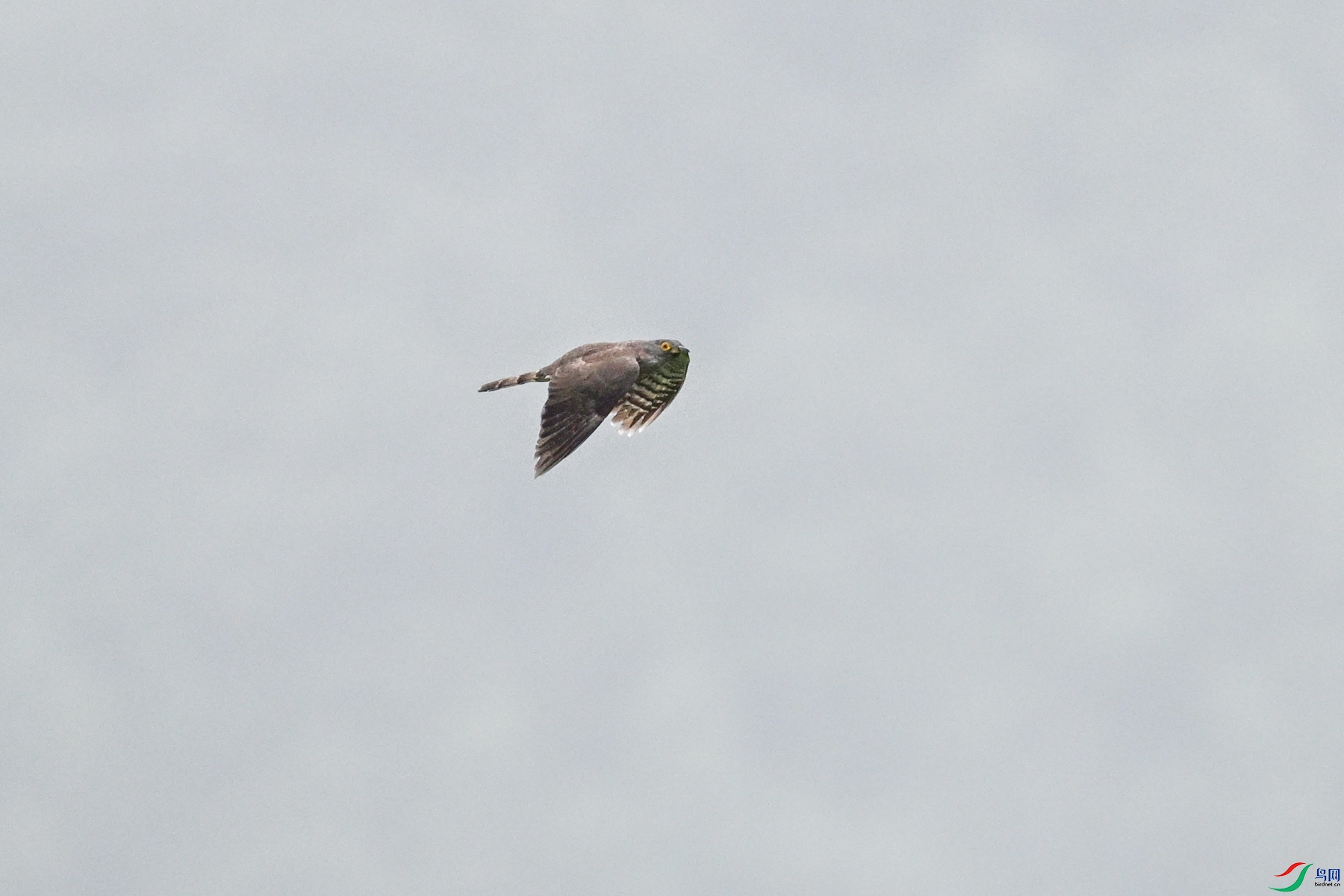 DSC_9425.JPG