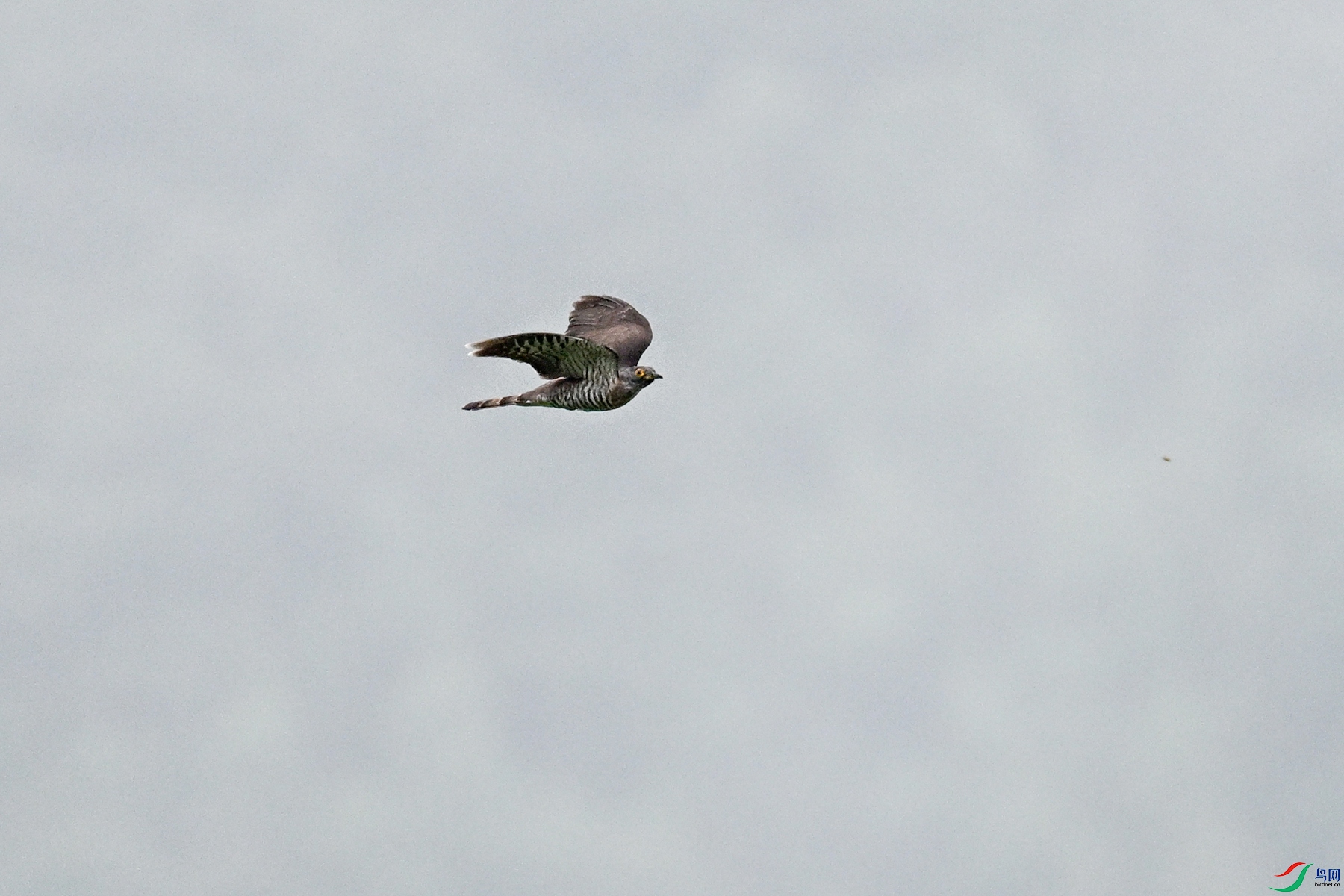 DSC_9426.JPG