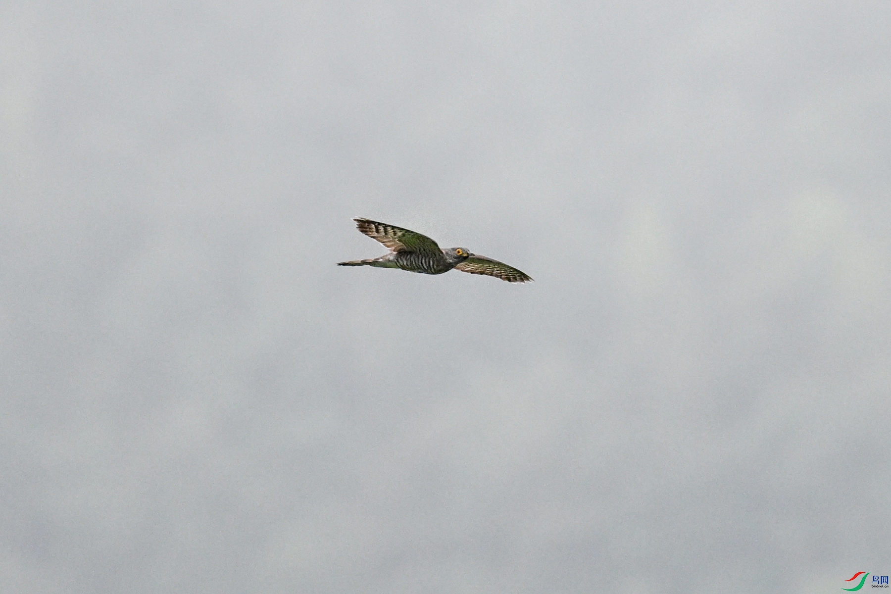 DSC_9430.JPG