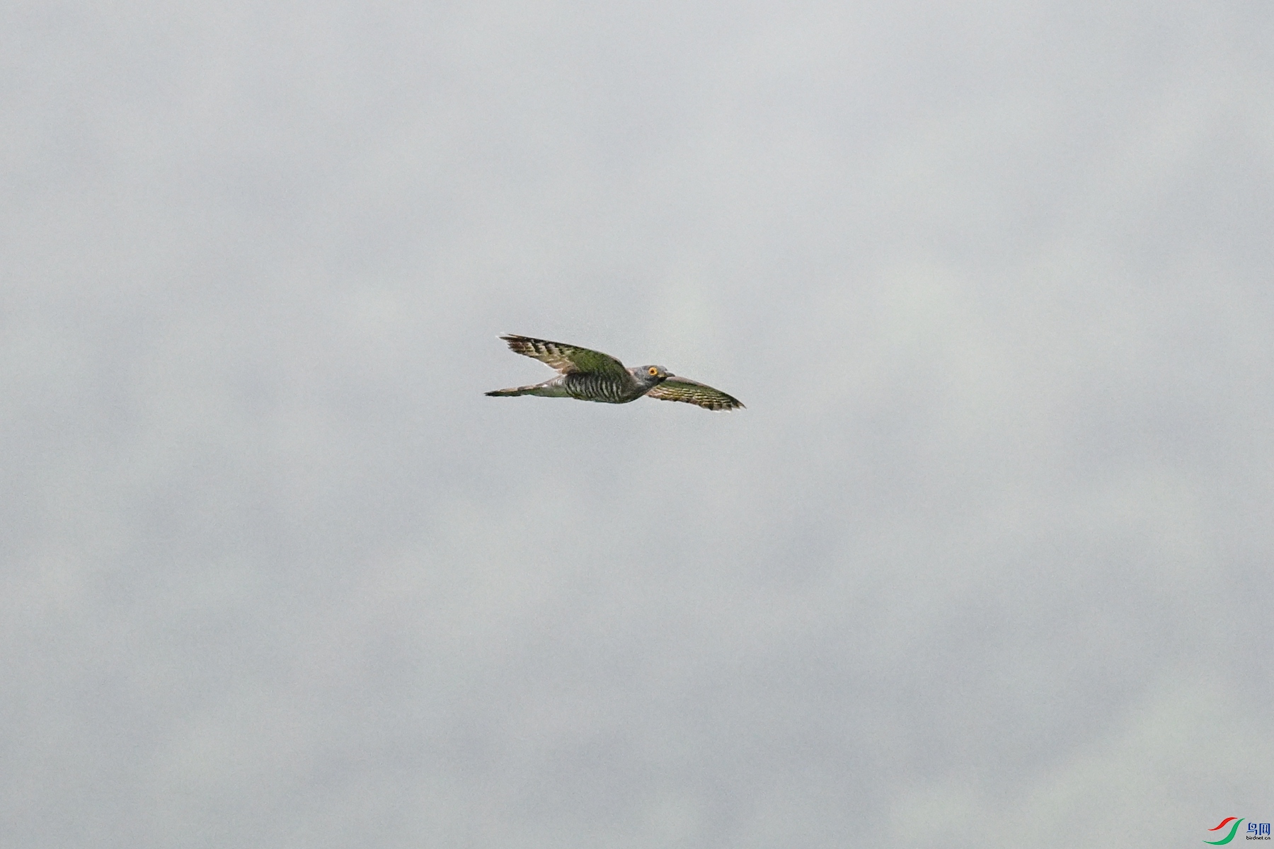DSC_9431.JPG