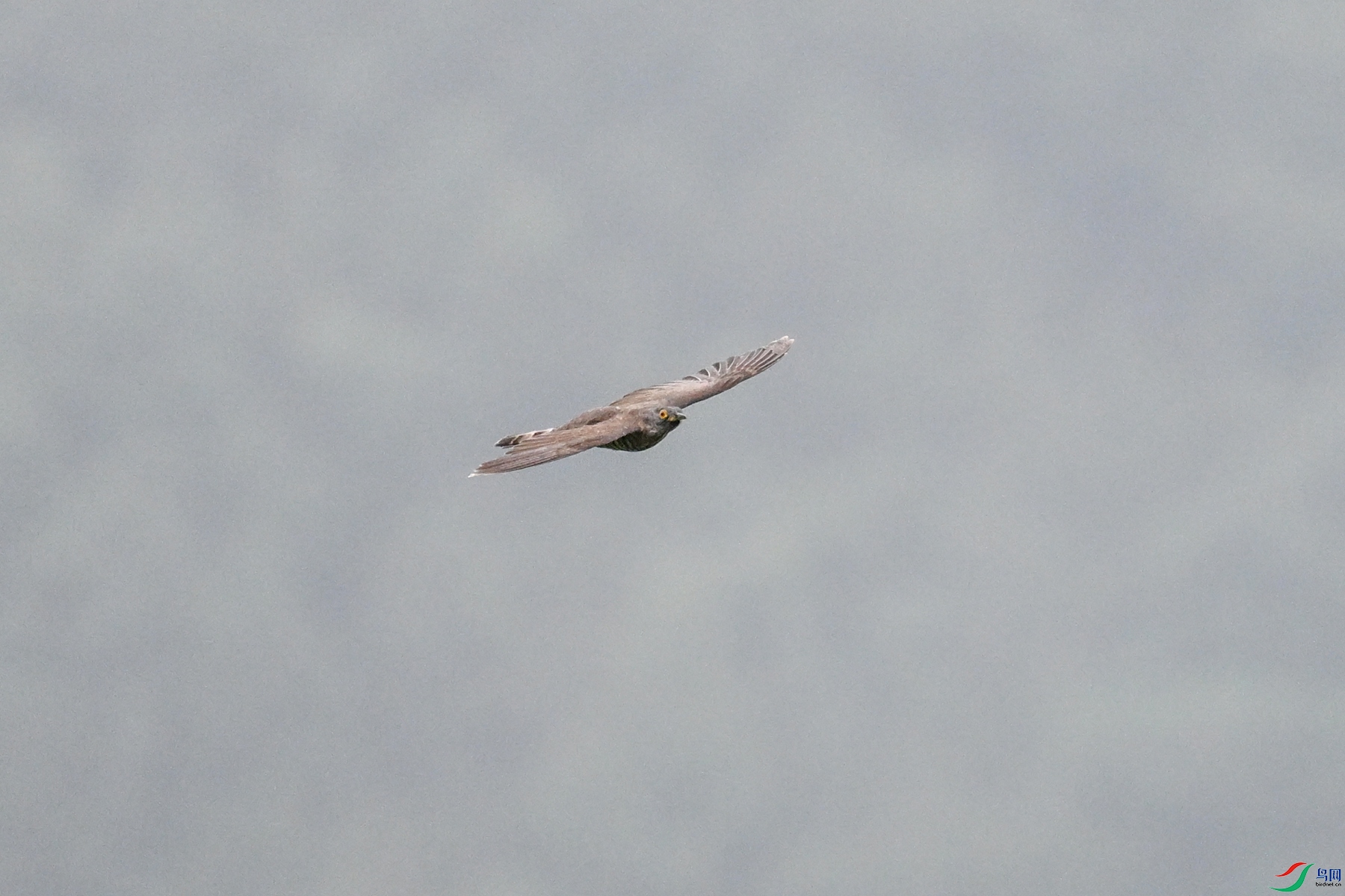 DSC_9434.JPG