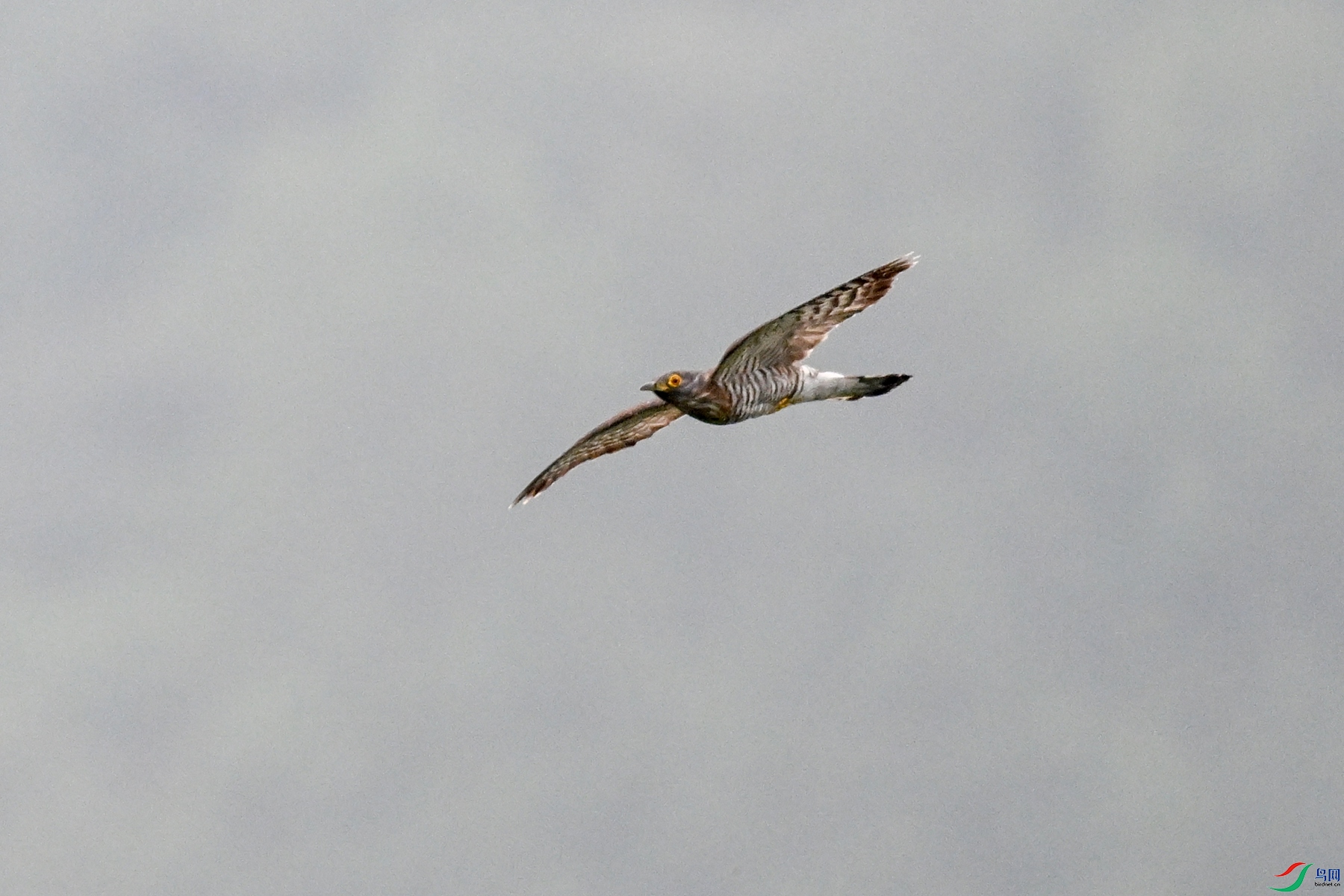 DSC_9436.JPG